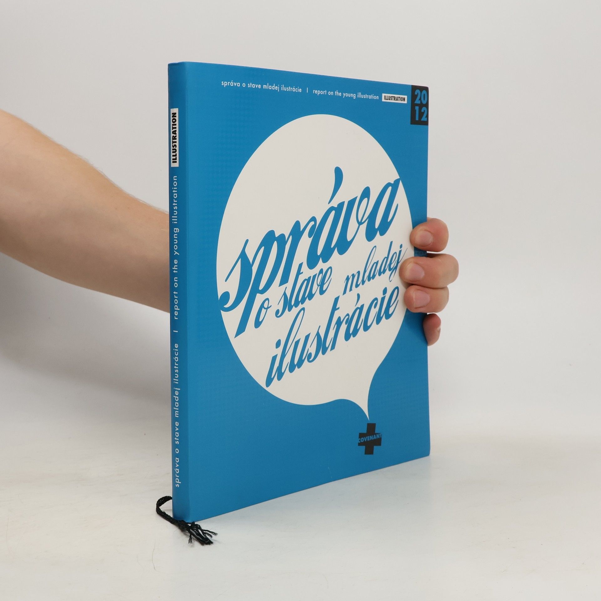 Autorenkollektiv Správa o stave mladej ilustrácie