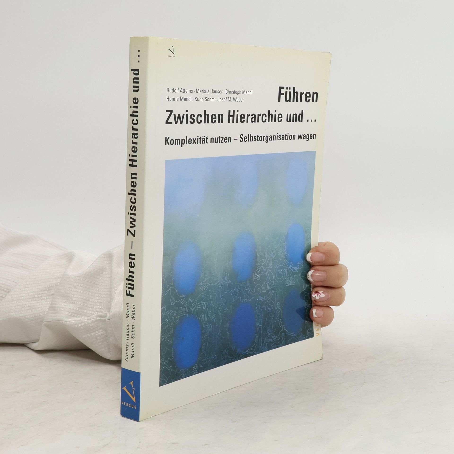 Rudolf Attems Führen - zwischen Hierarchie und ...