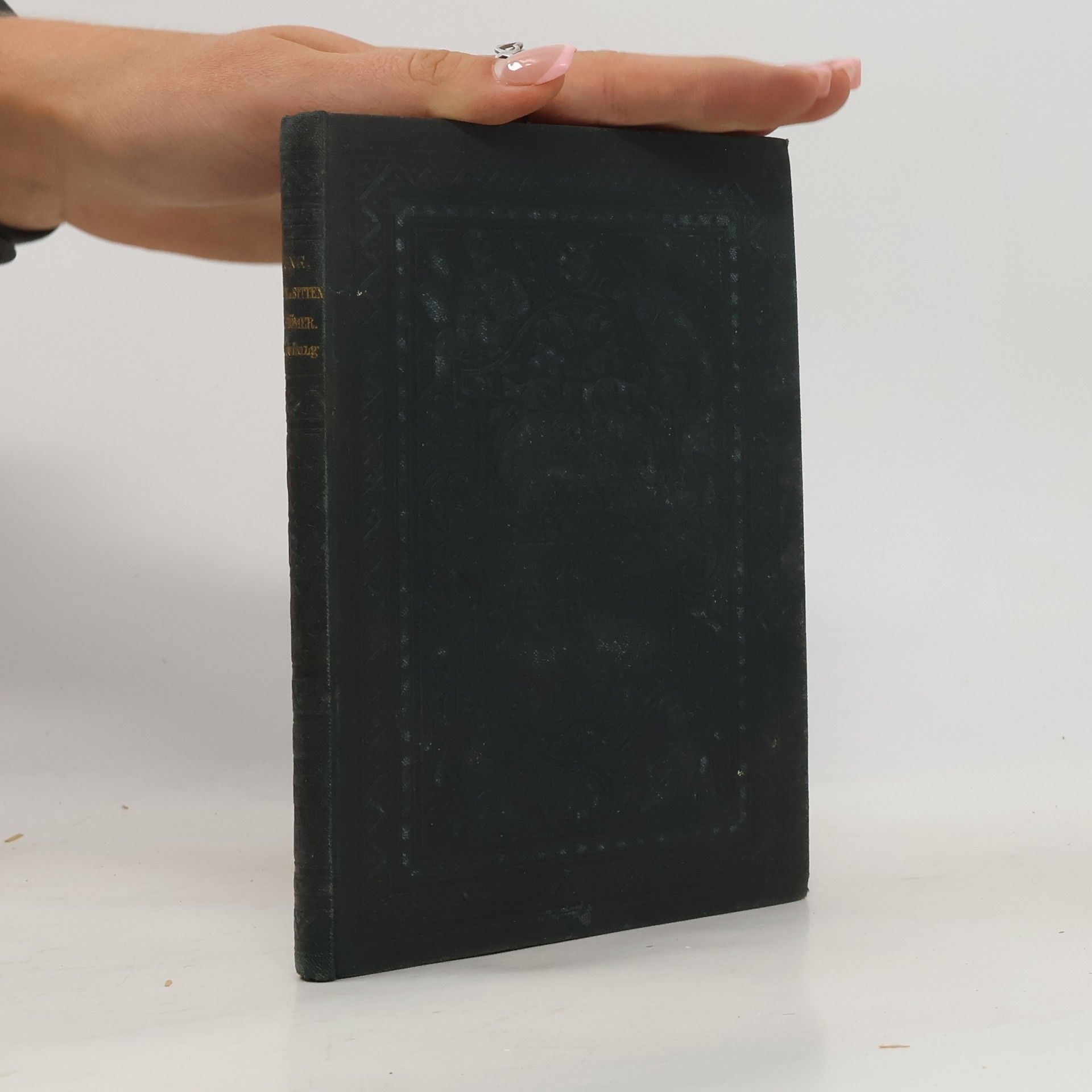 Jul. Jung Das Willen der Gegenwart XV.