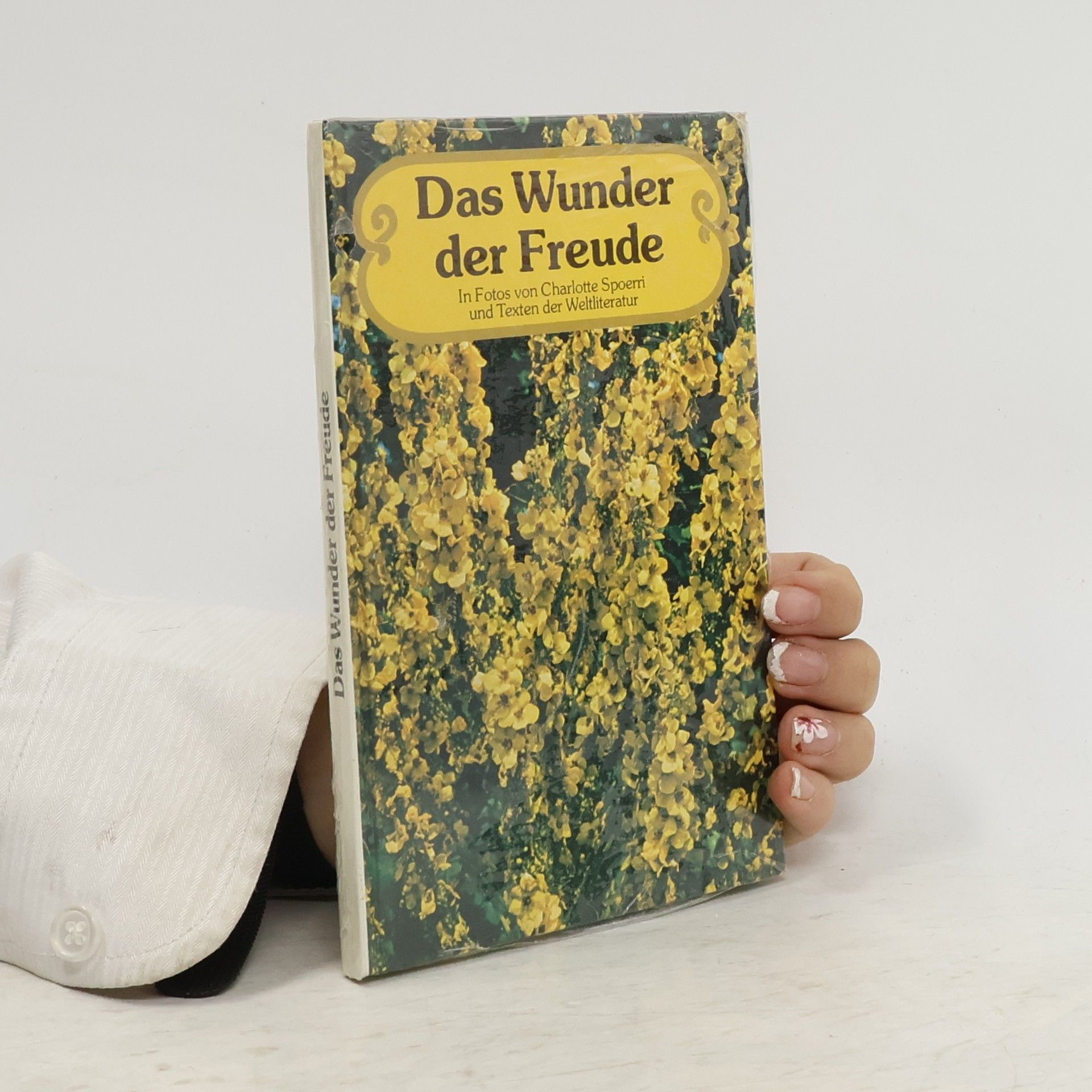 Charlotte Spoerri Das Wunder der Freude