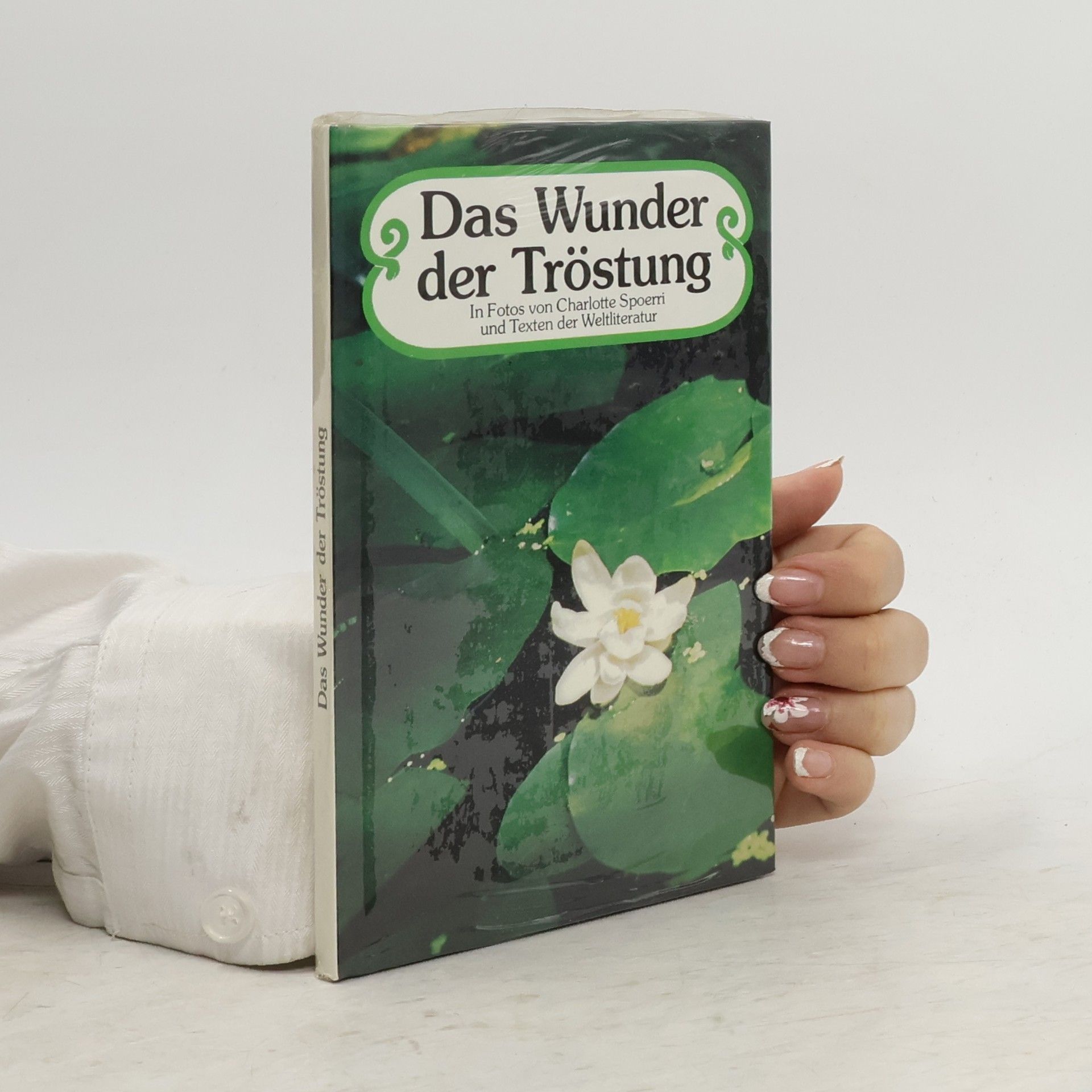 Charlotte Spoerri Das Wunder der Tröstung