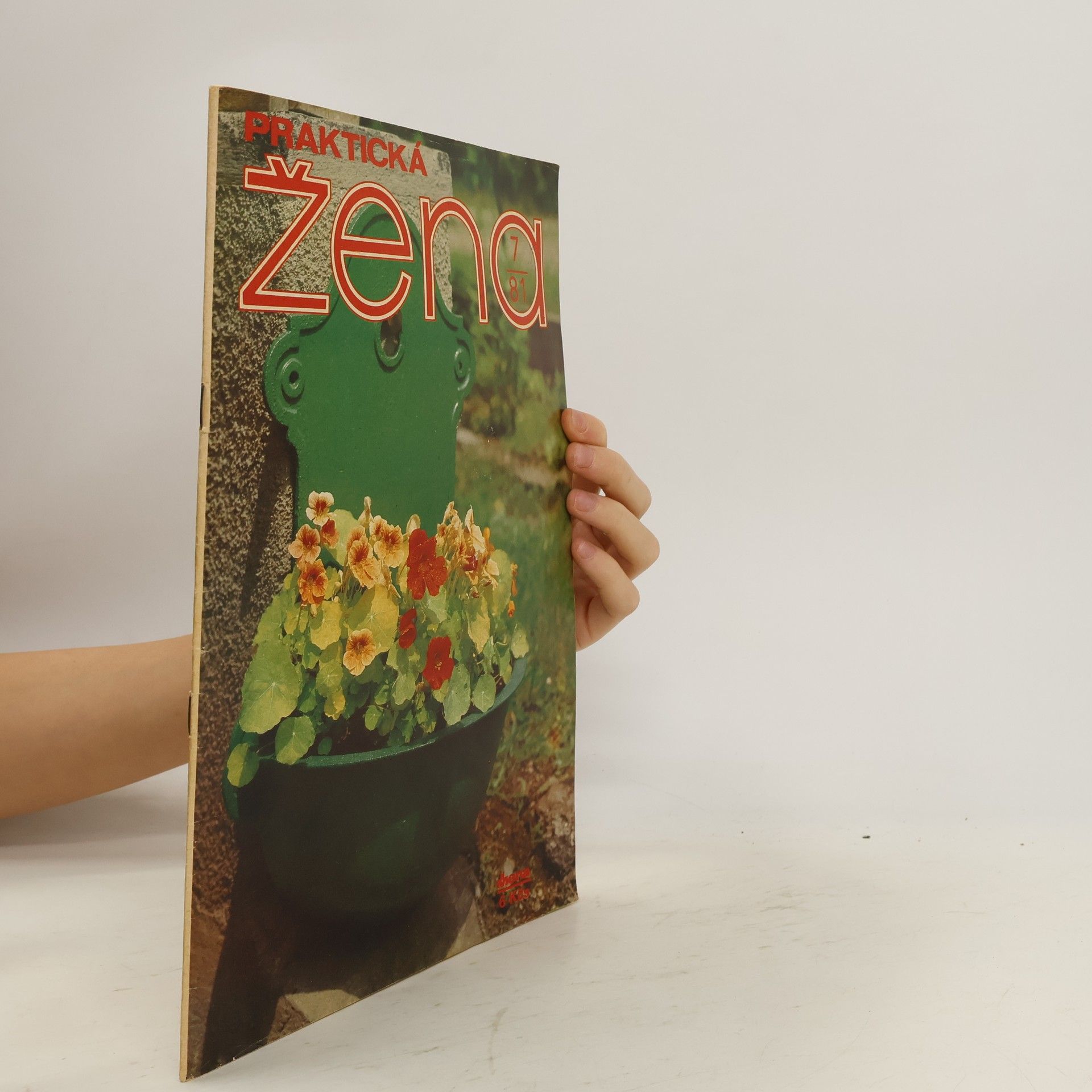 Autores varios Praktická žena 7/81