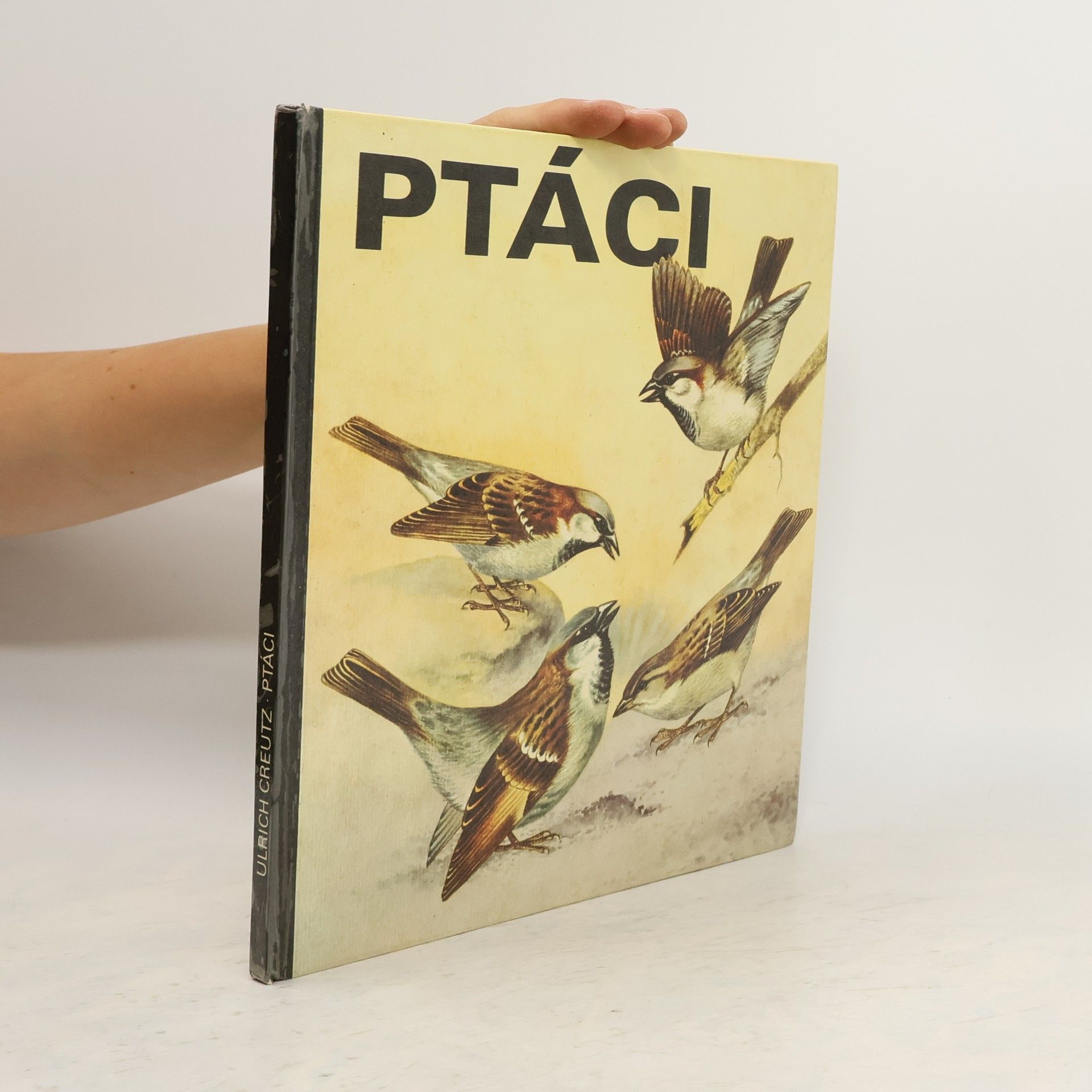 Ulrich Creutz Ptáci