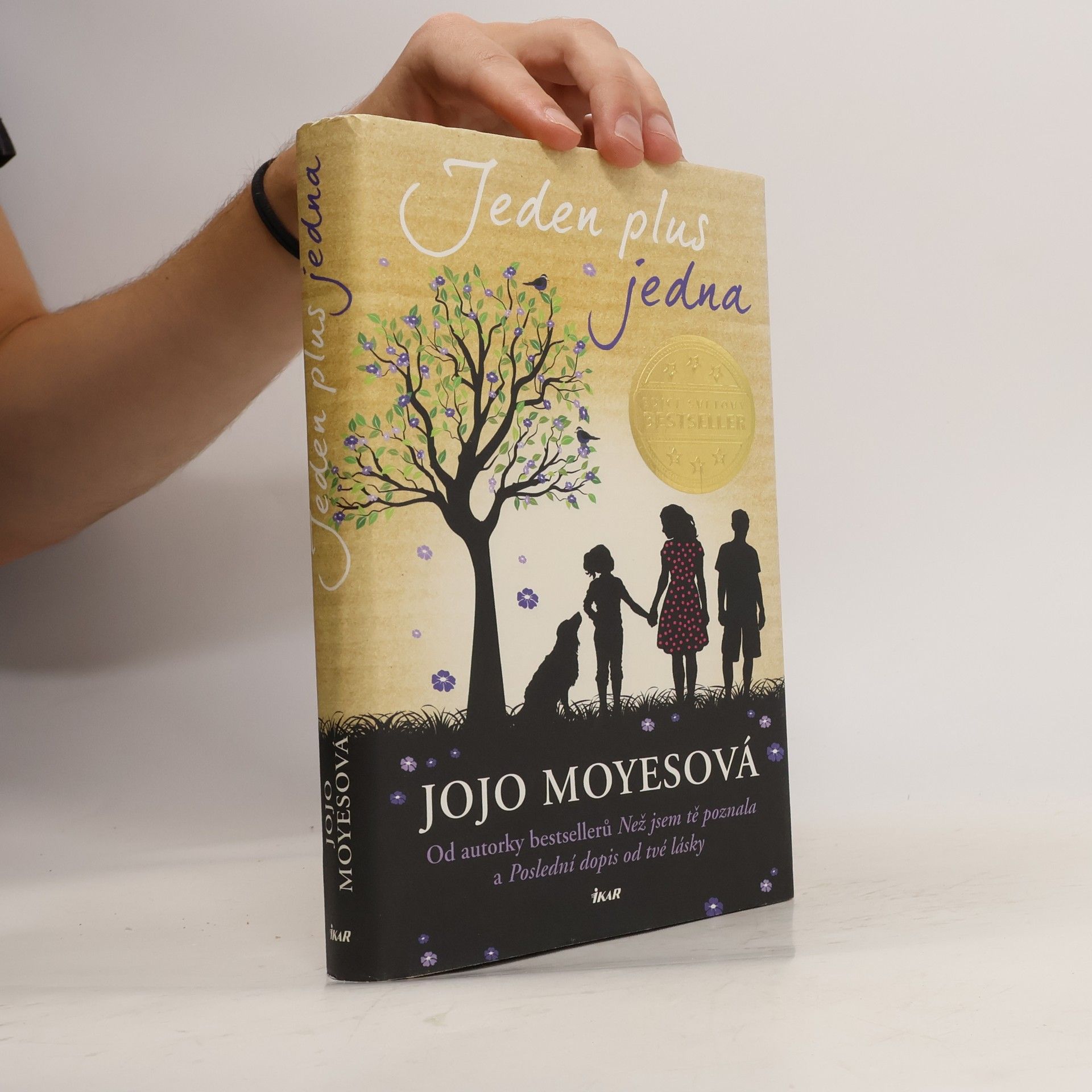 Jojo Moyes Jeden plus jedna
