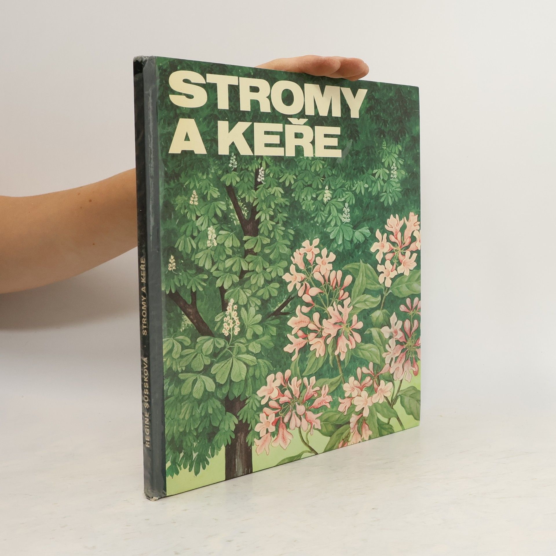 Regine Süssk Stromy a keře