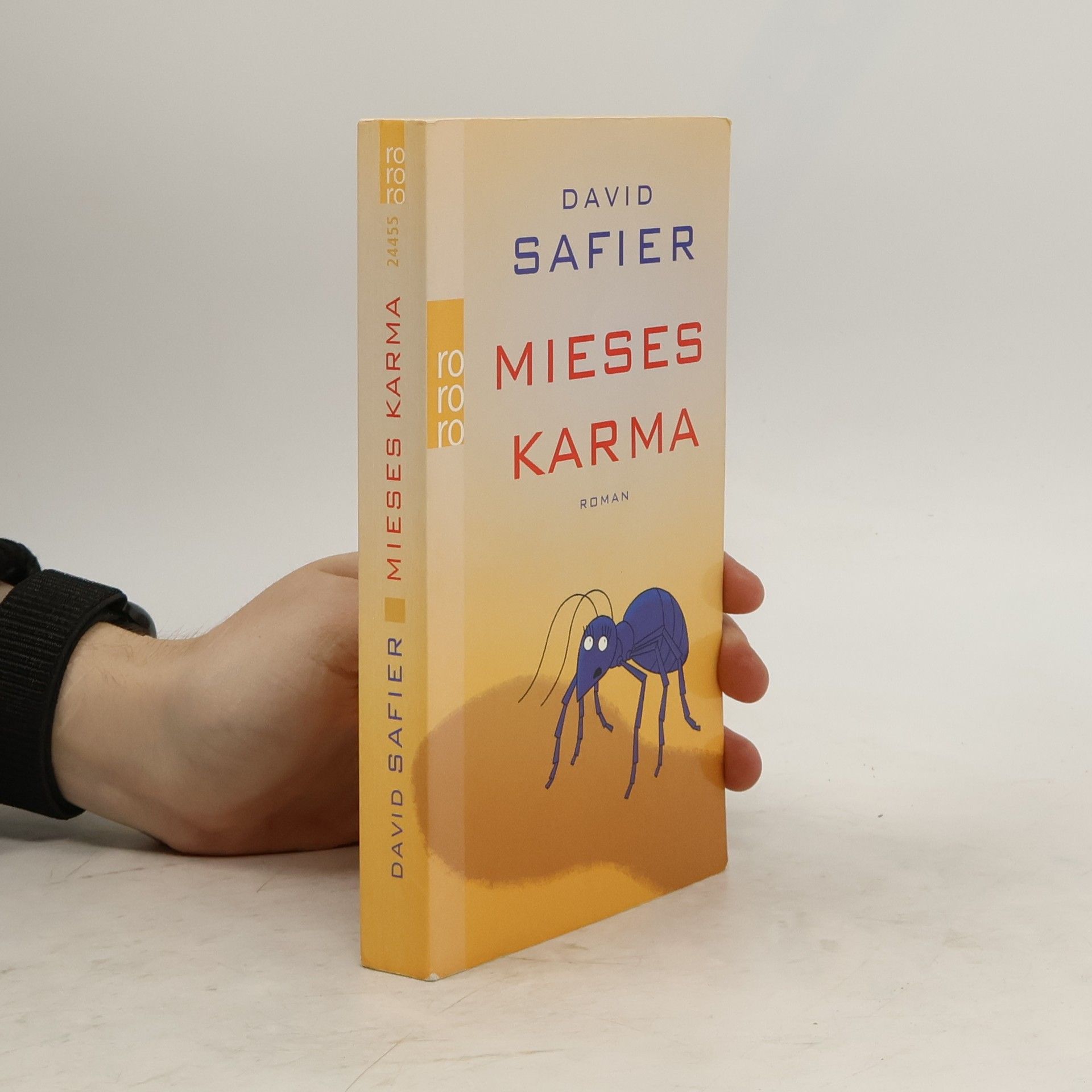 David Safier Mieses Karma