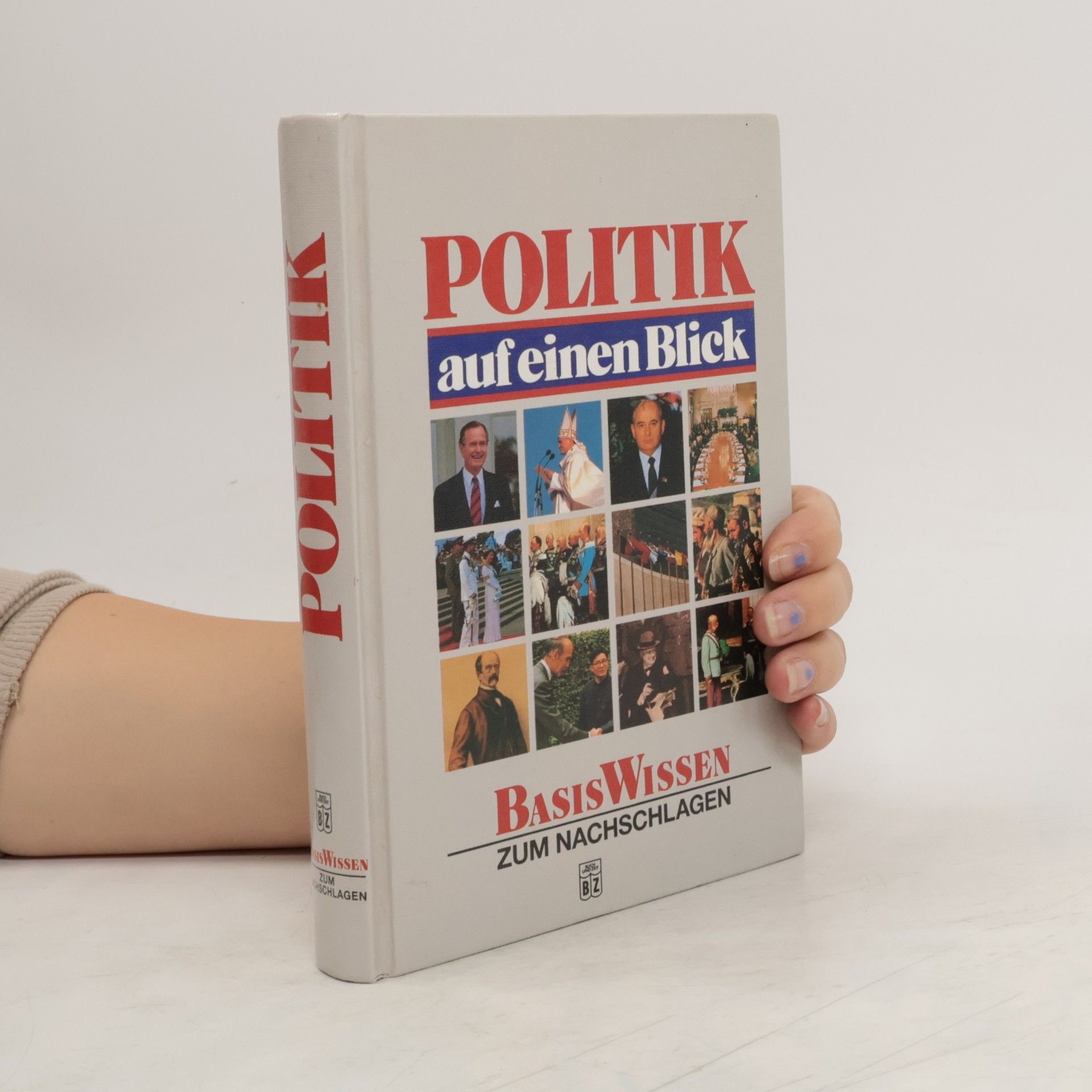 Autores varios Politik auf einen Blick