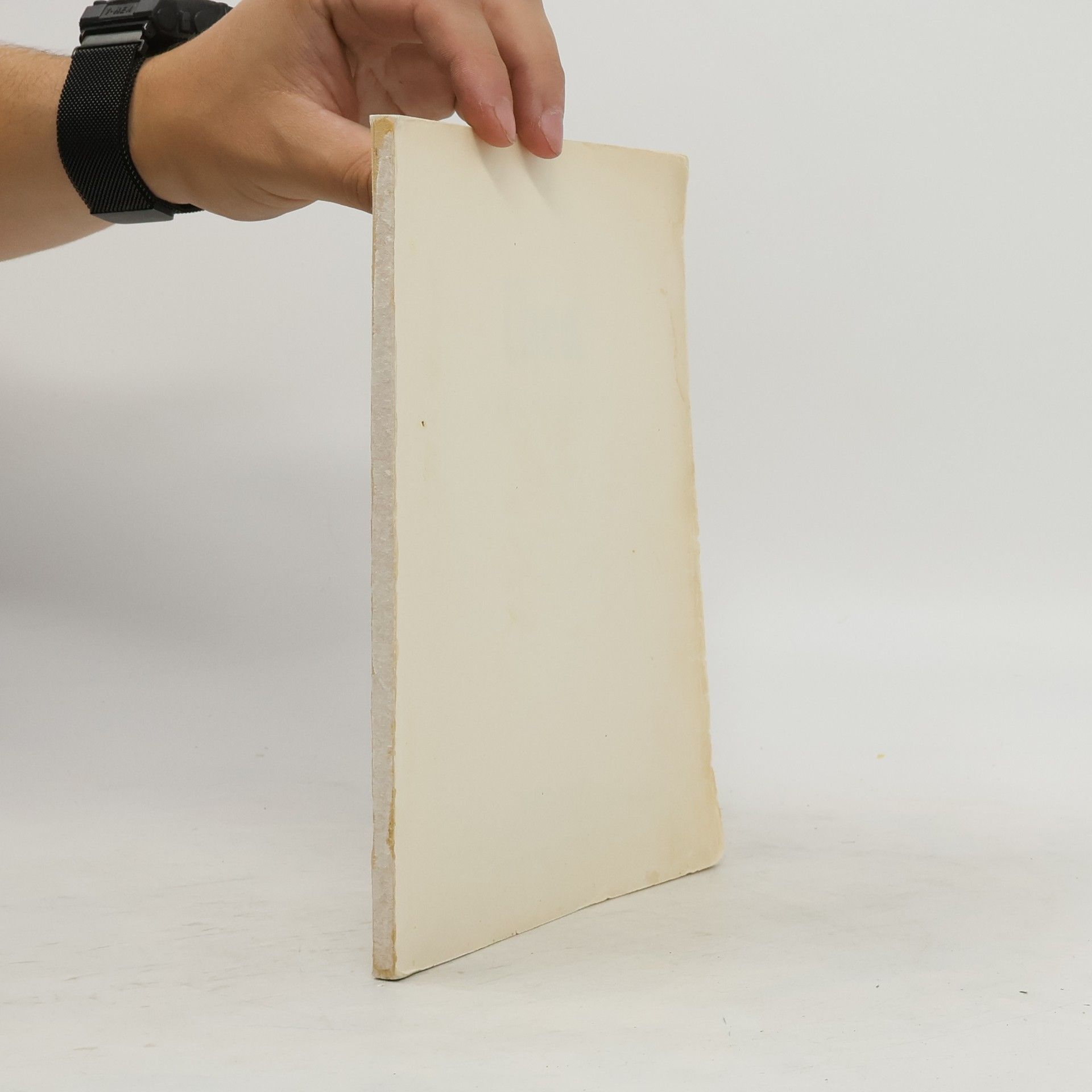 Autores varios Das Thea Kochbuch