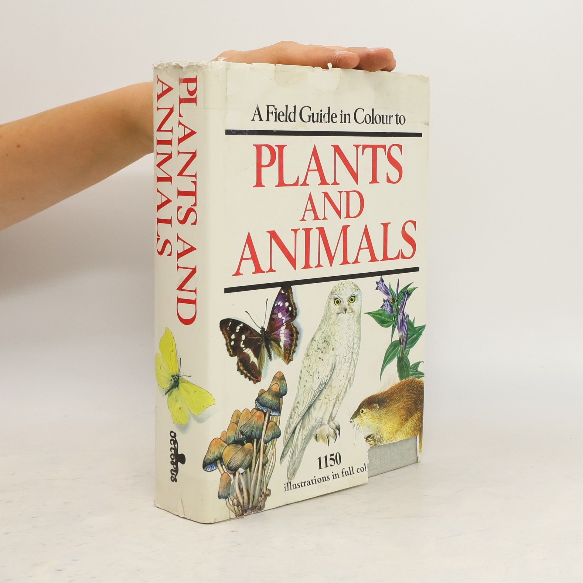 Jan Toman Plants and Animals