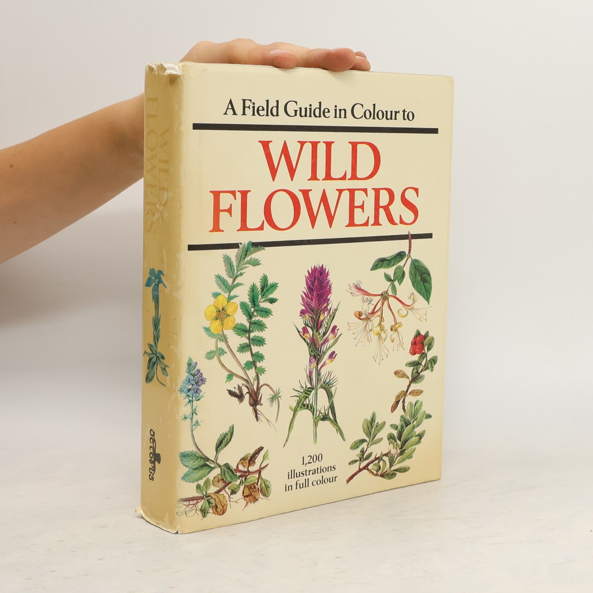 Dietmar Aichele A field guide in colour to wild flowers