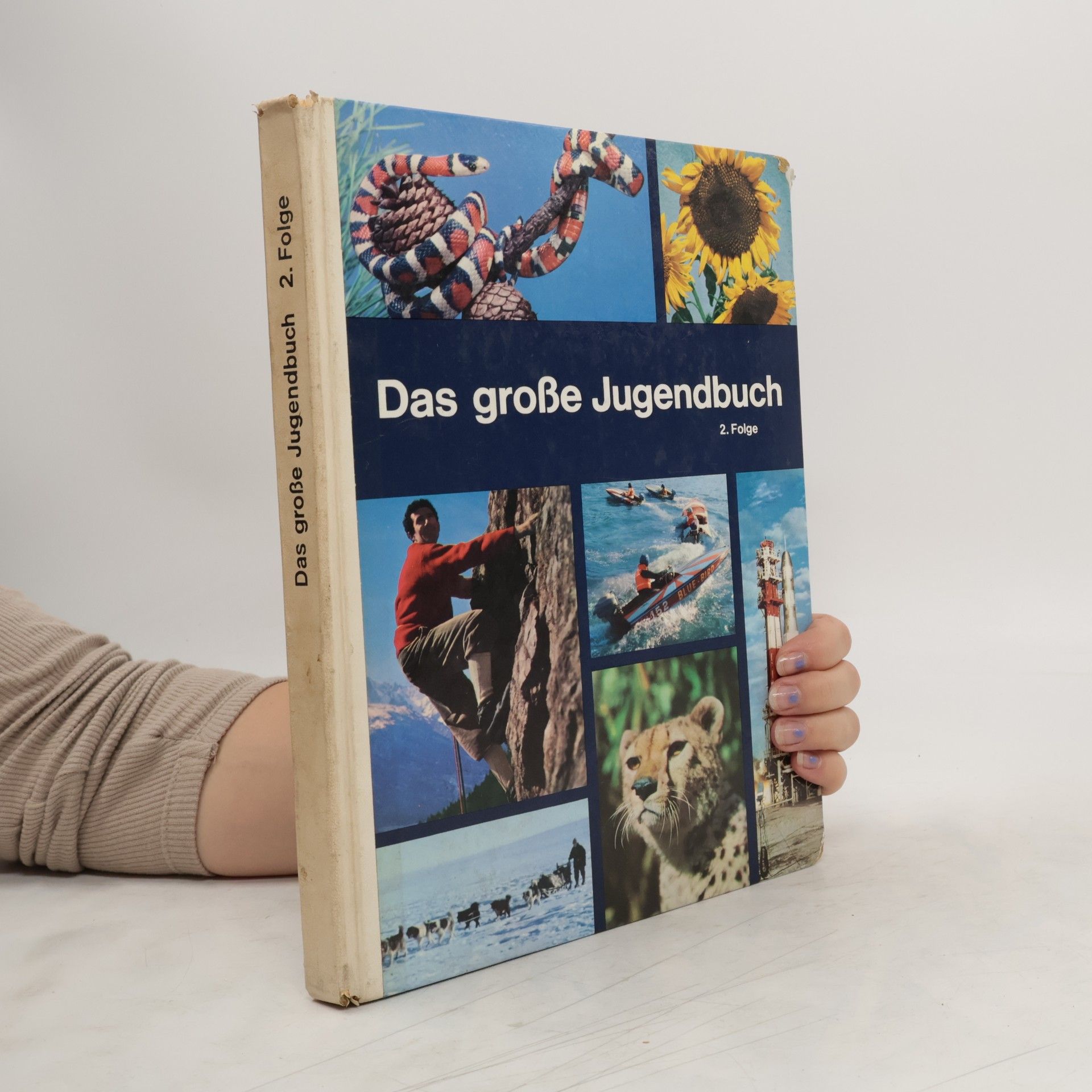 Collective Das große Jugendbuch 2. Folge