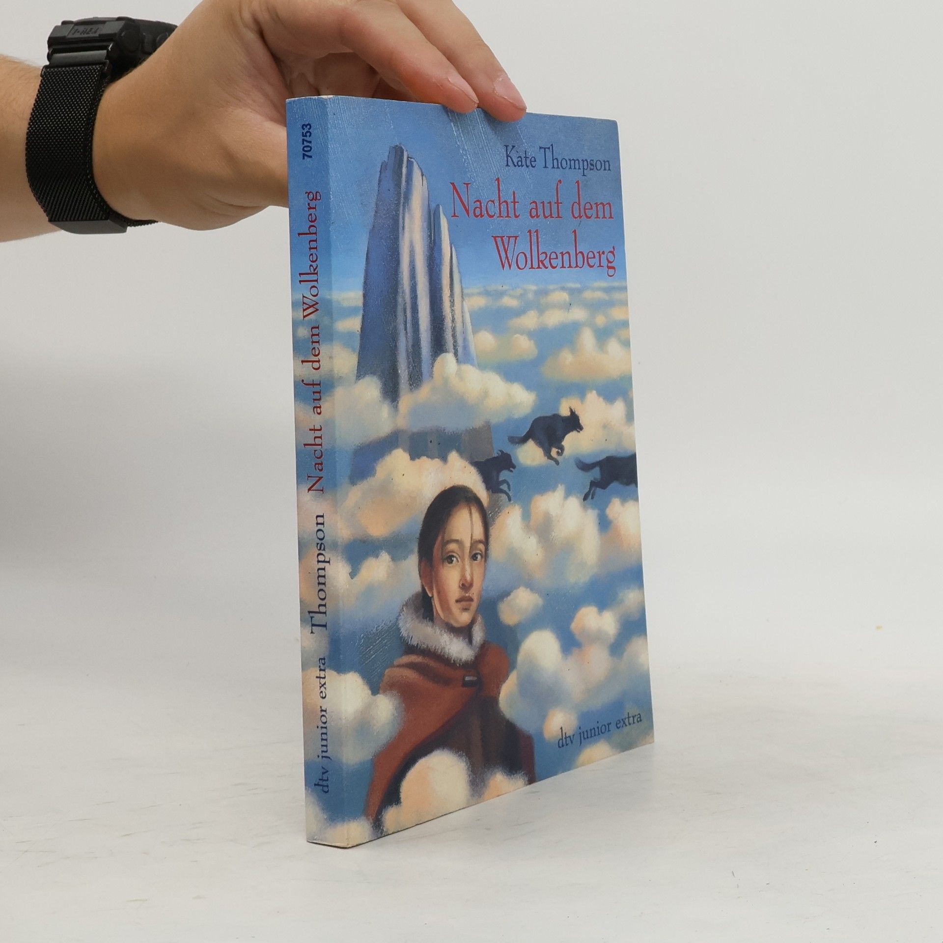 Kate Thompson Nacht auf dem Wolkenberg