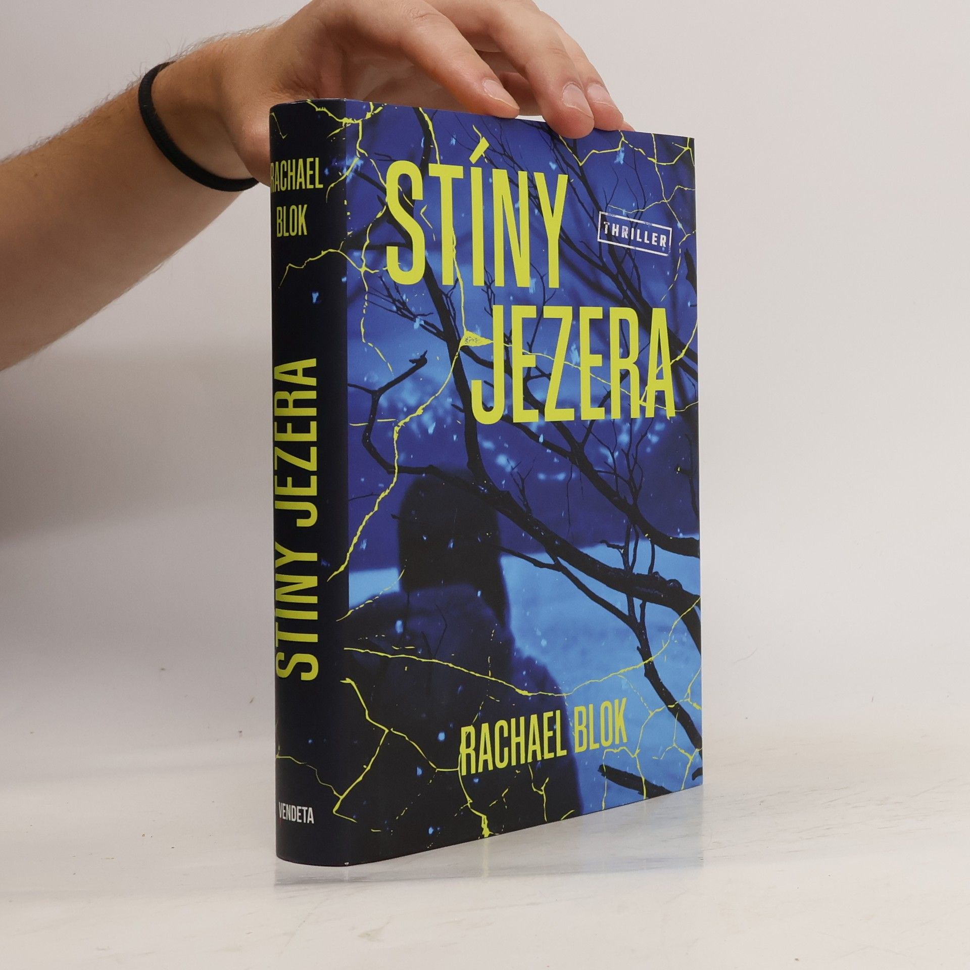Rachael Blok Stíny jezera