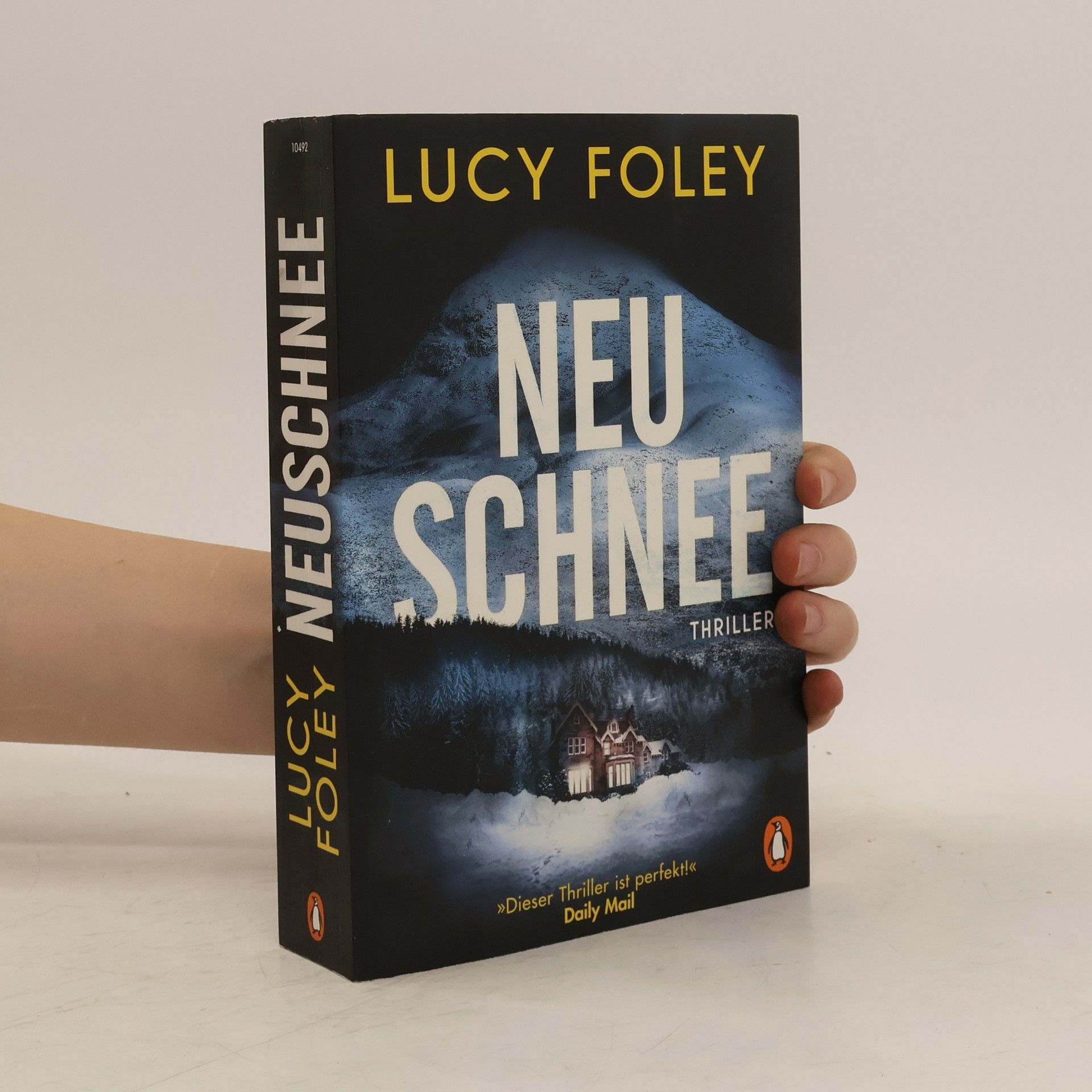 Lucy Foley Neuschnee