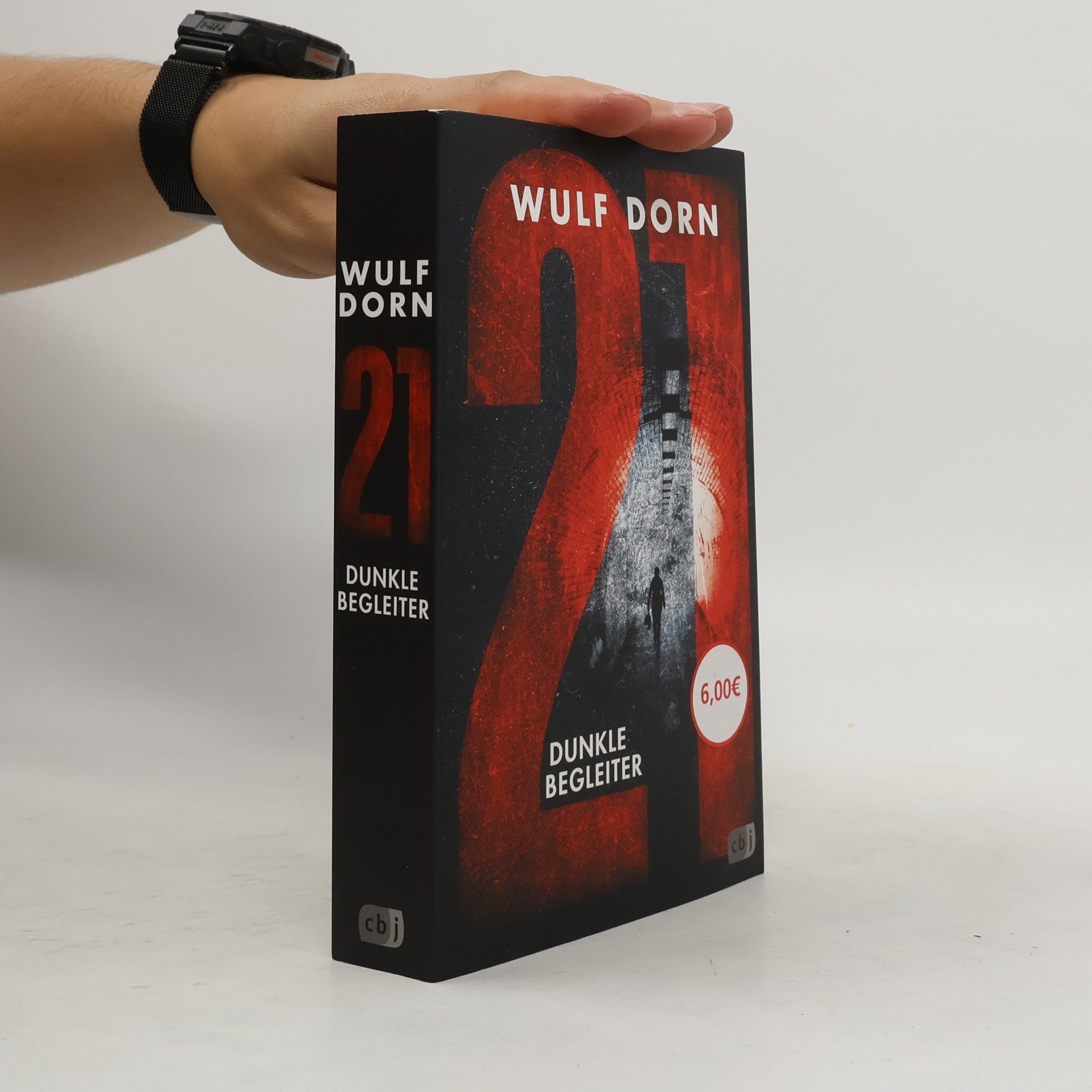 Wulf Dorn 21 - dunkle Begleiter