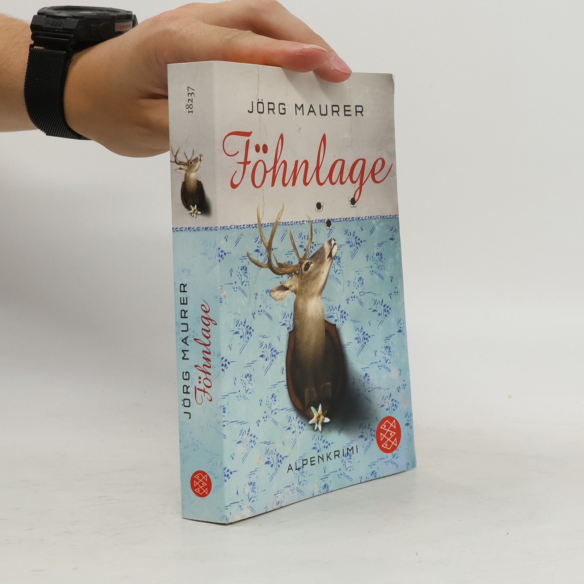 Jörg Maurer Föhnlage