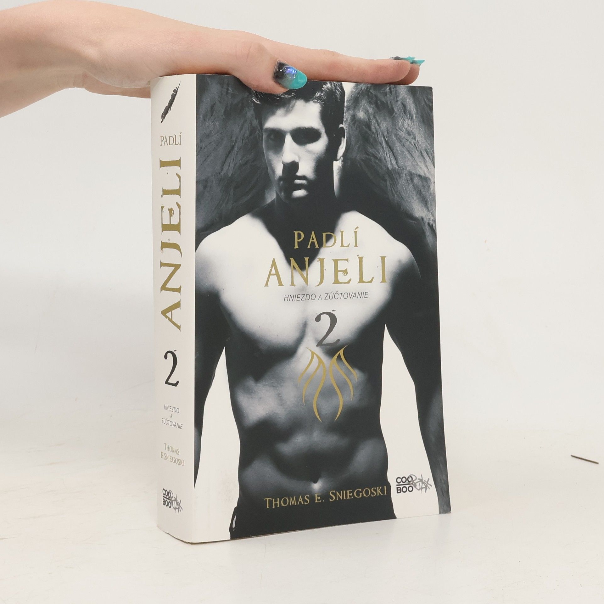 Thomas E. Sniegoski Padlí anjeli 2: Hniezdo a zúčtovanie