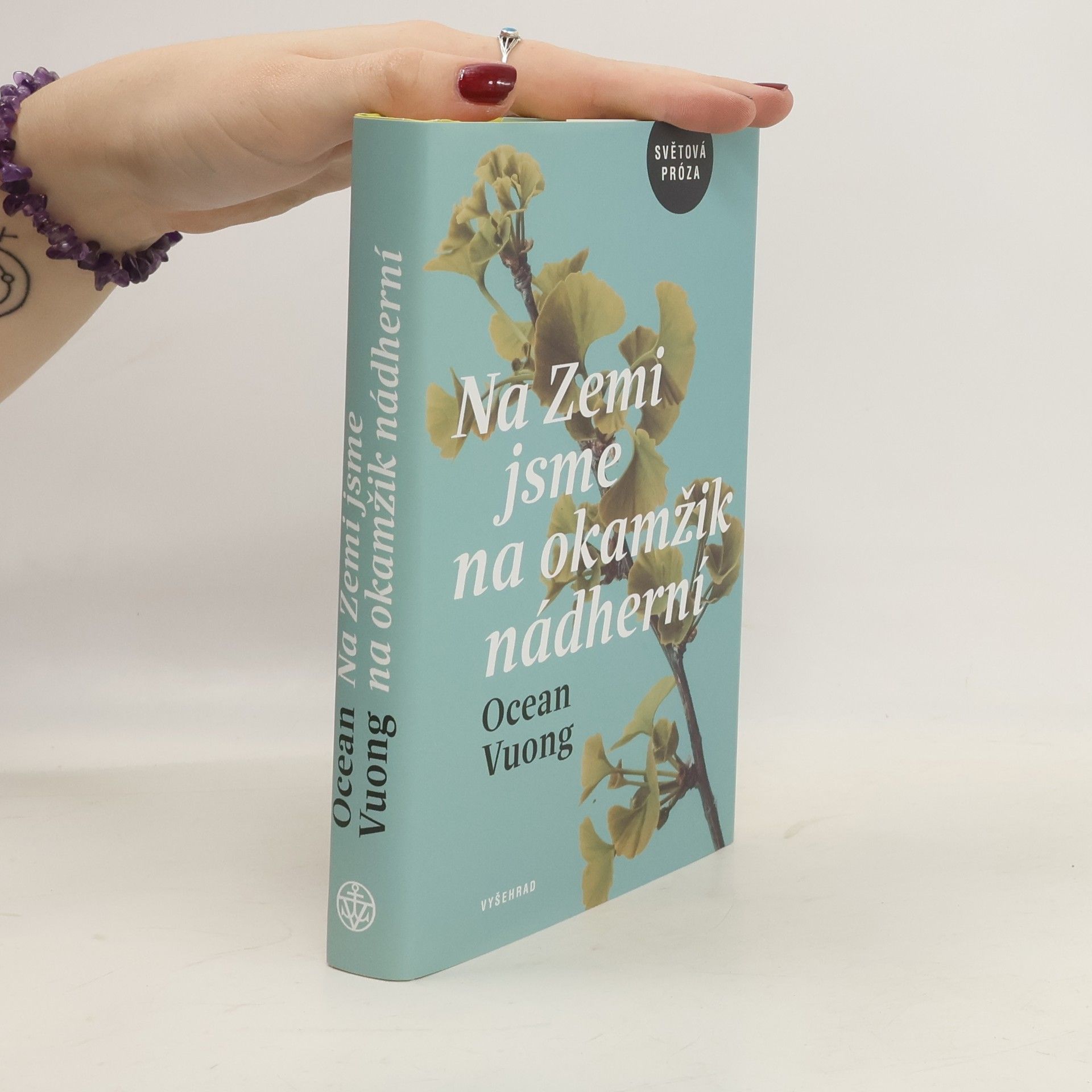 Ocean Vuong Na Zemi jsme na okamžik nádherní