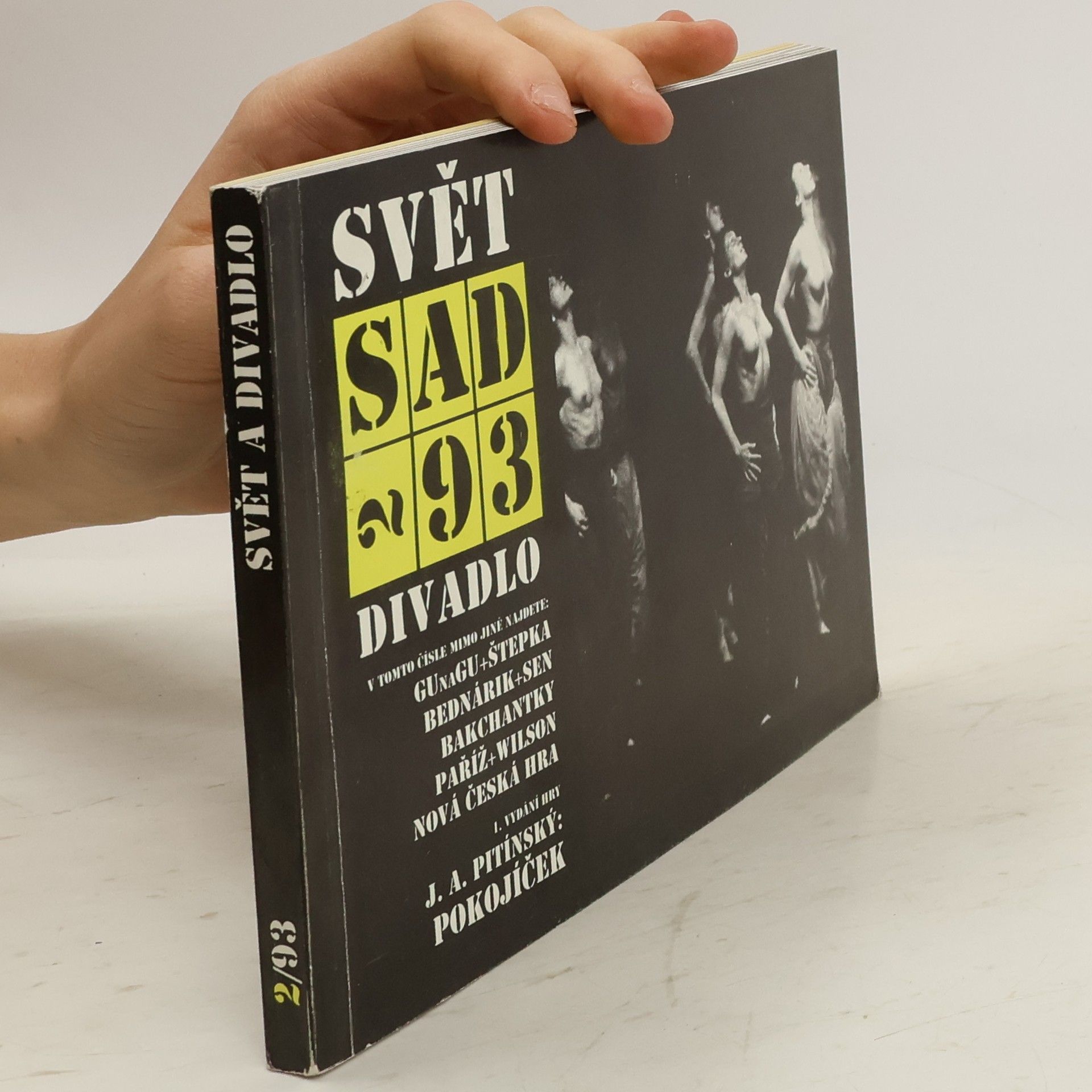 Autores varios SAD. Svět a divadlo 2/93