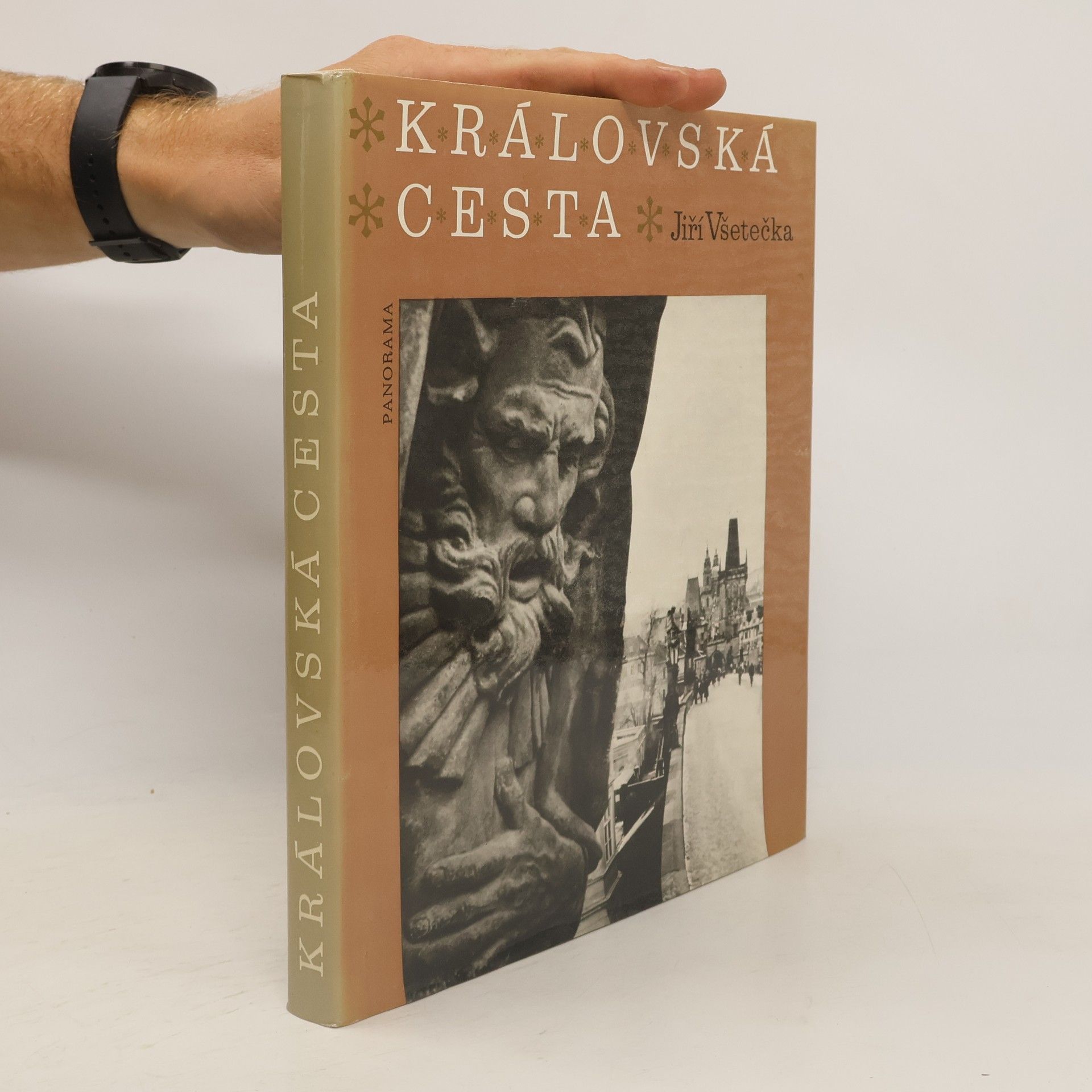 Jiri Vsetecka Královská cesta