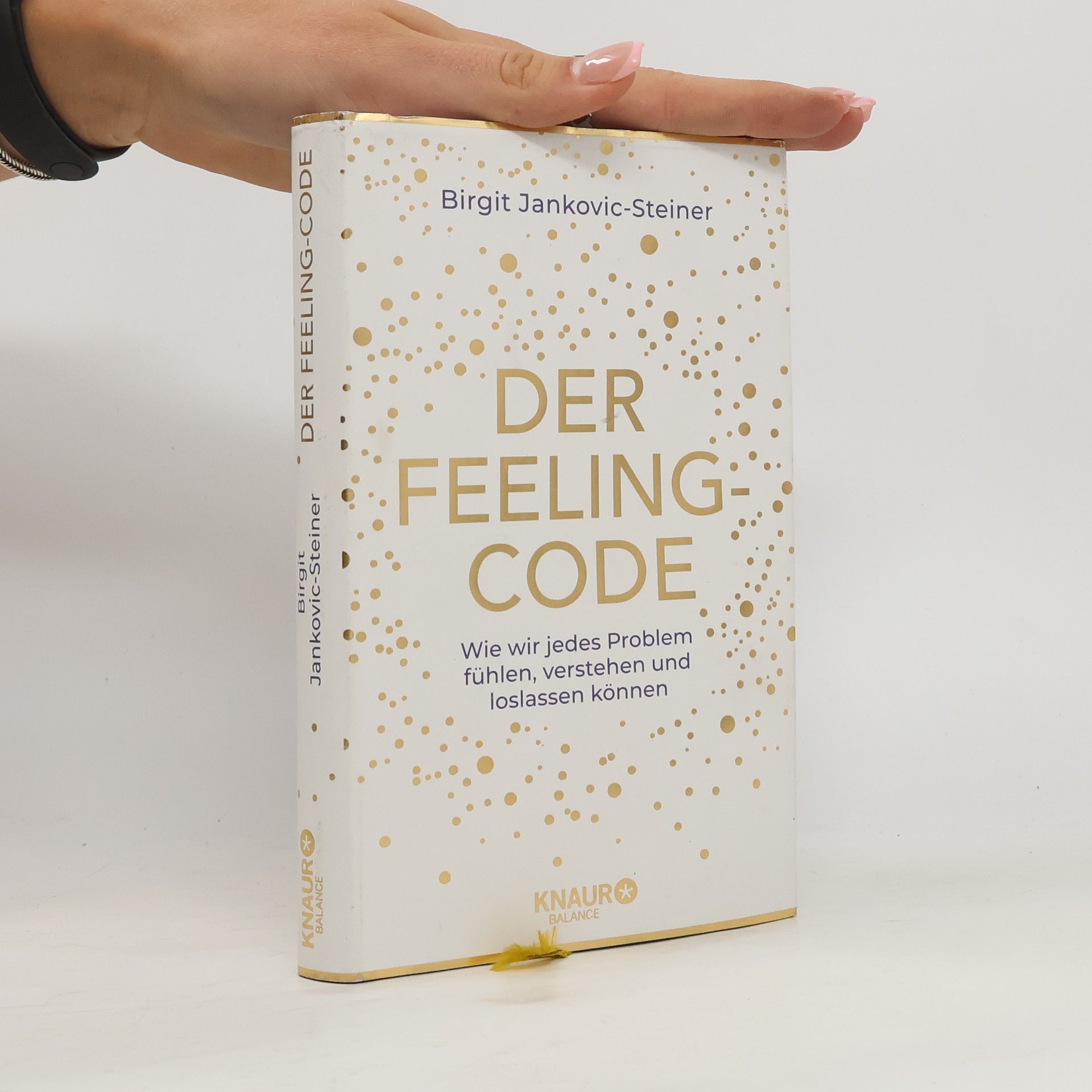 Birgit Jankovic-Steiner Der Feeling-Code