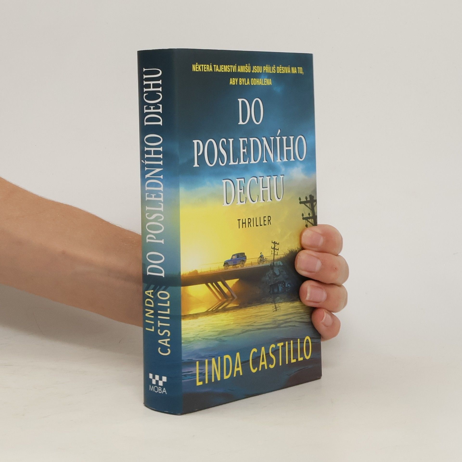 Linda Castillo Do posledního dechu