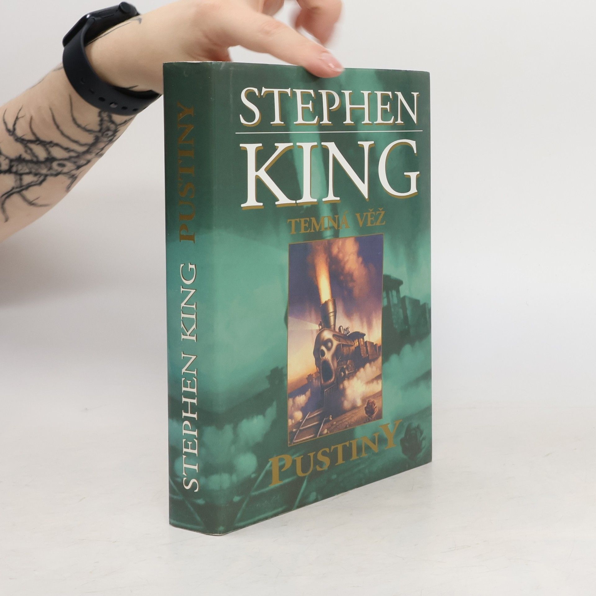 Stephen King Temná věž. Pustiny