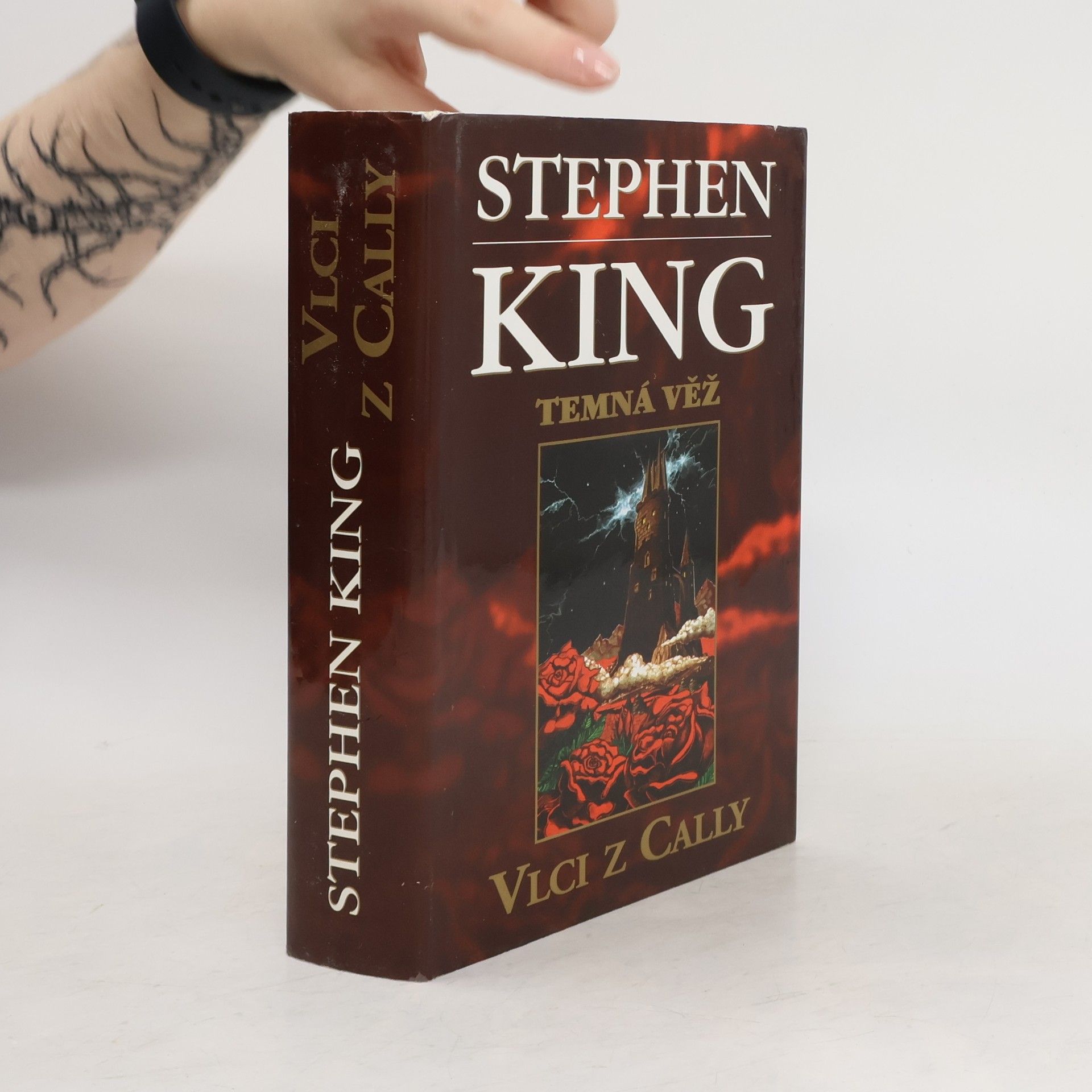 Stephen King Temná věž V.
