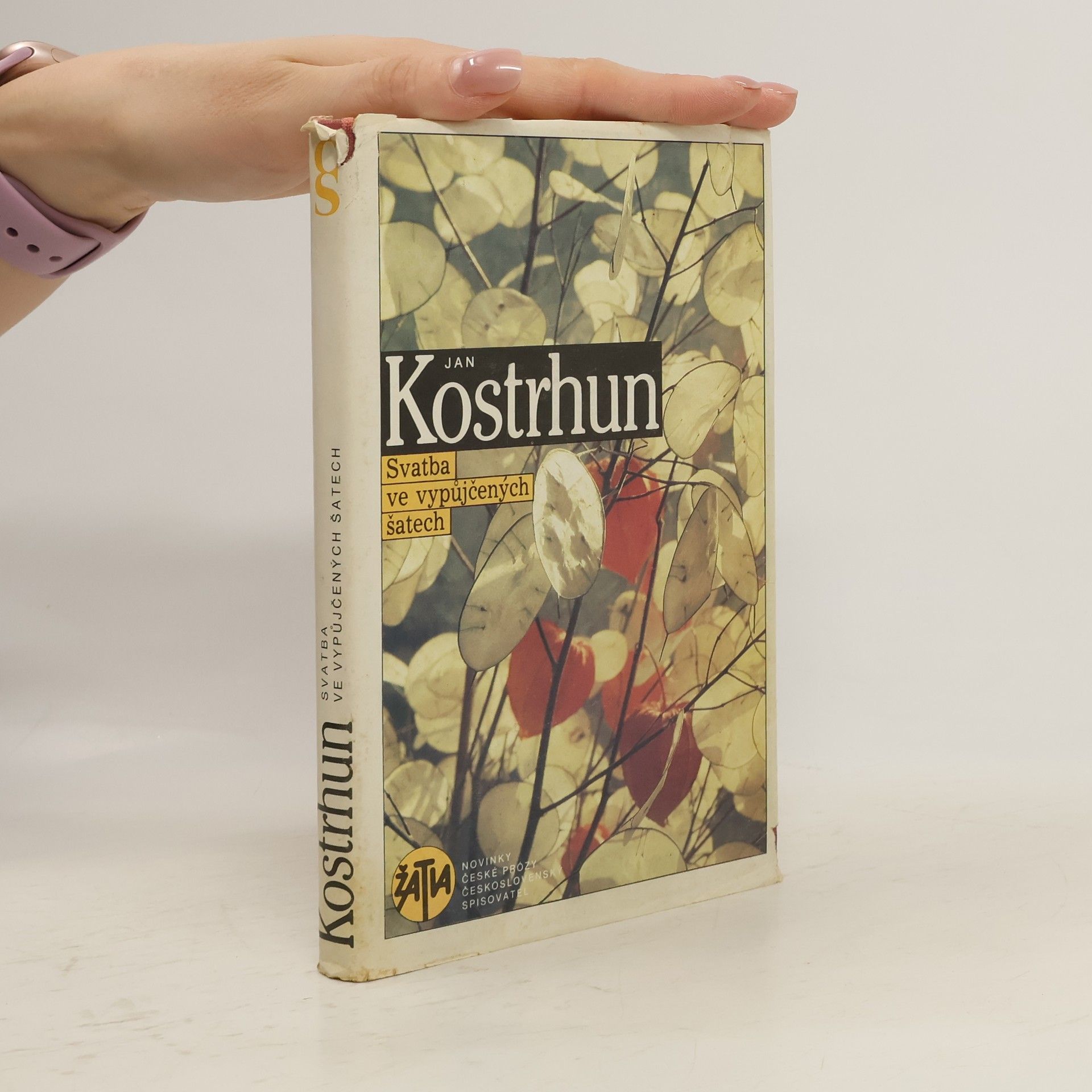 Jan Kostrhun Svatba ve vypůjčených šatech