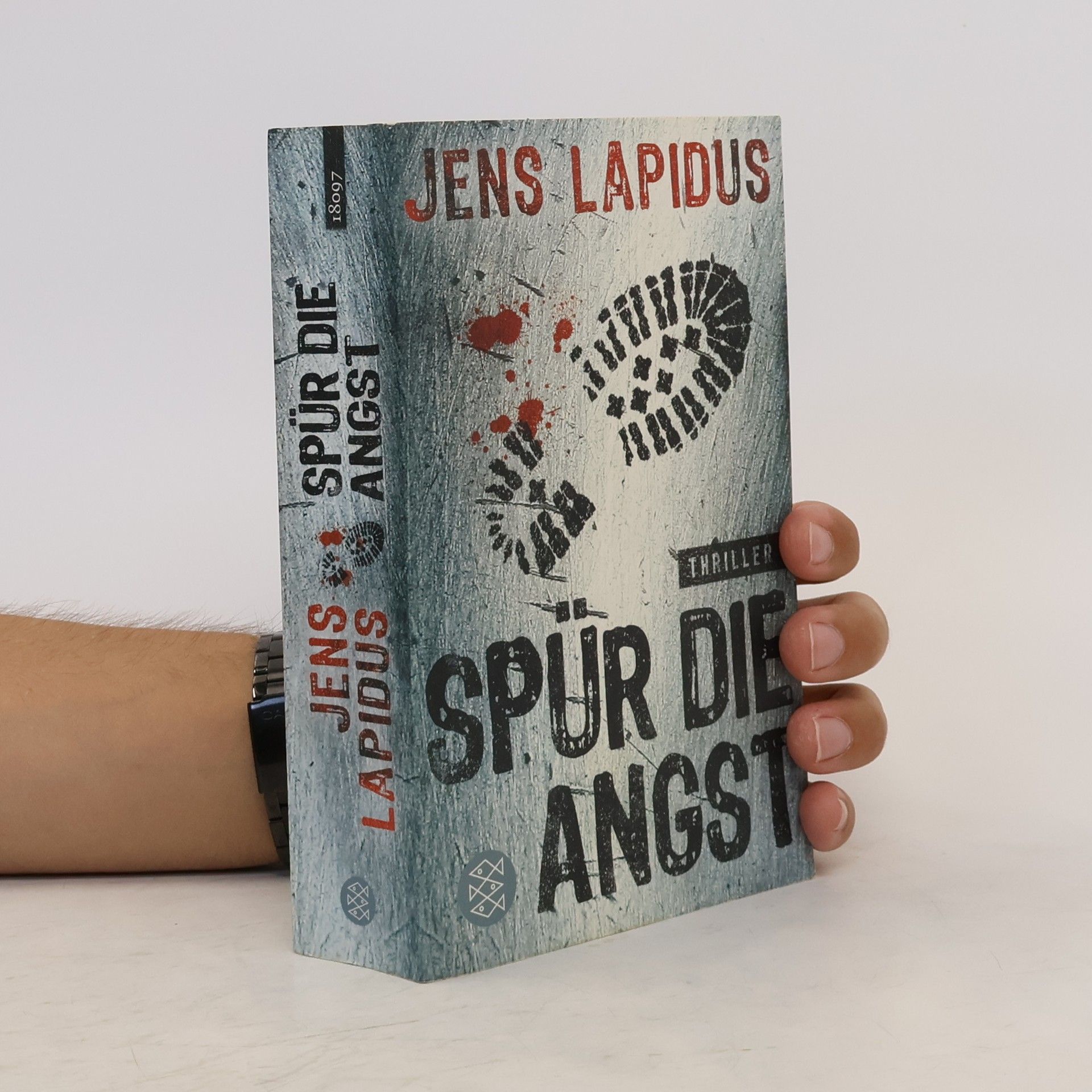 Jens Lapidus Spür die Angst
