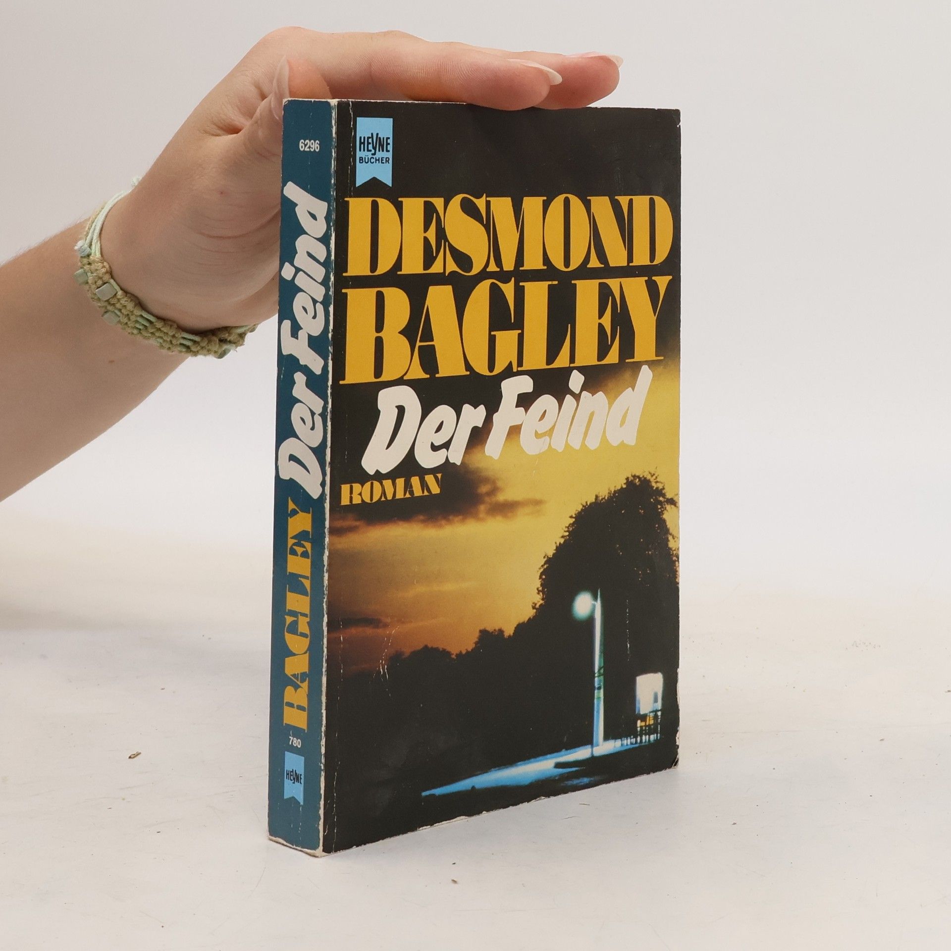 Desmond Bagley Der Feind