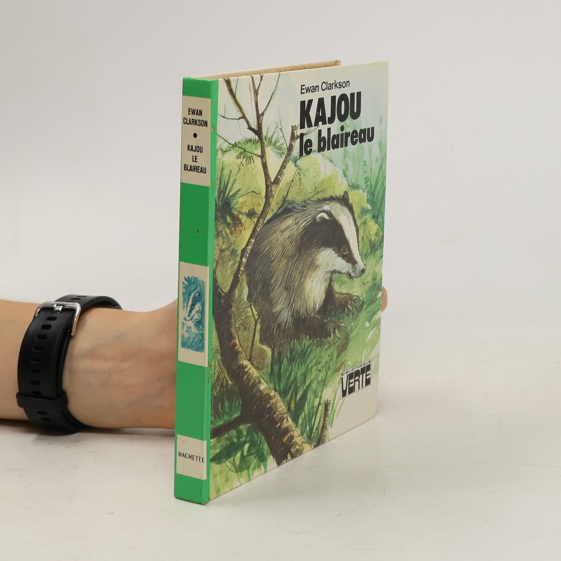Ewan Clarkson Kajou le blaireau