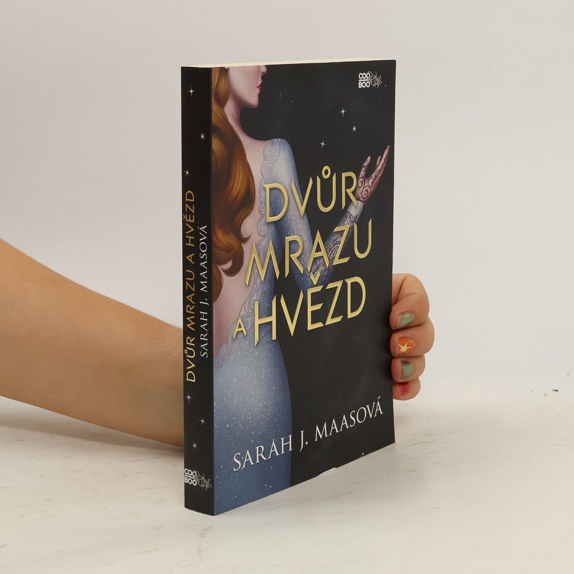Sarah J. Maas Dvůr mrazu a hvězd