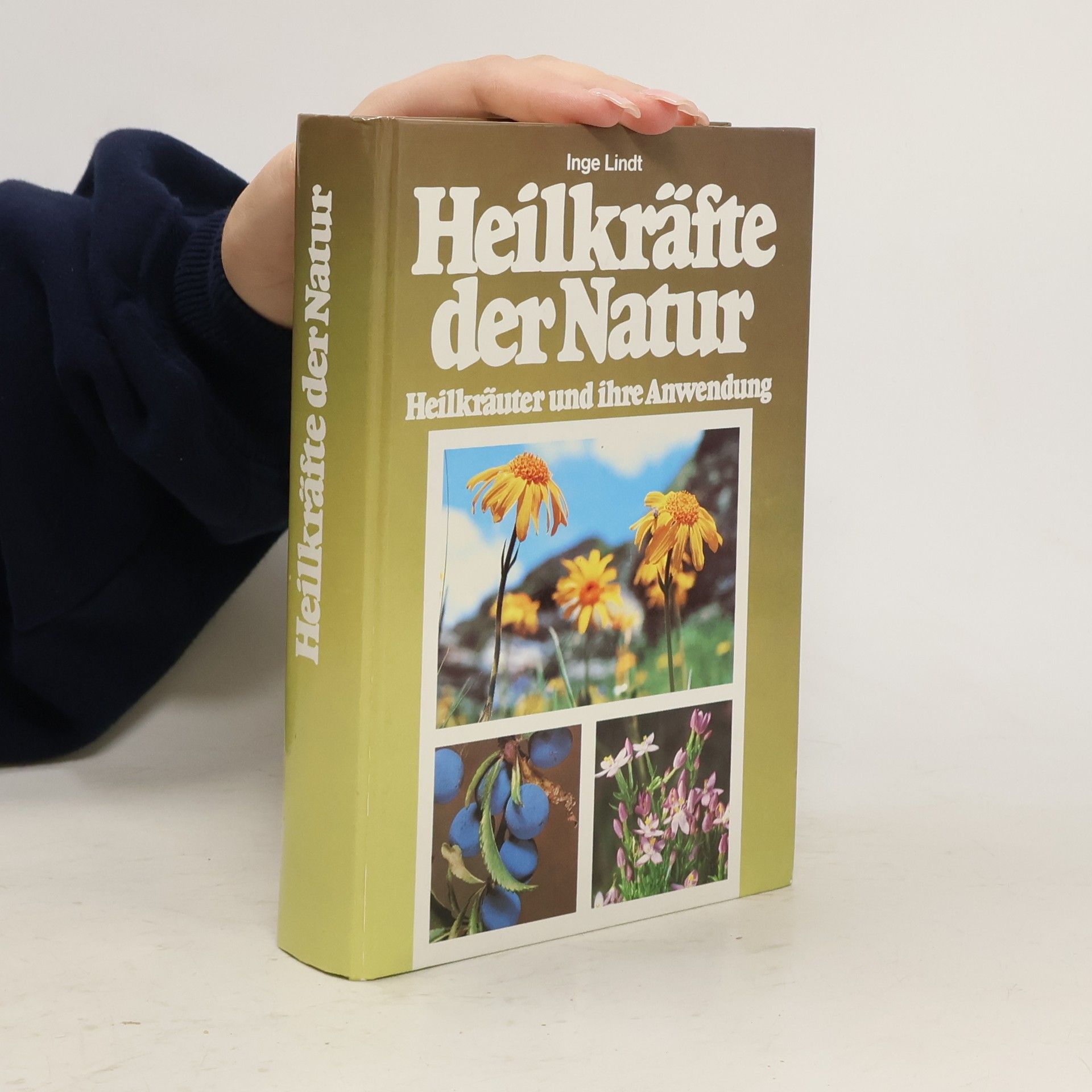 Inge Lindt Heilkräfte der Natur