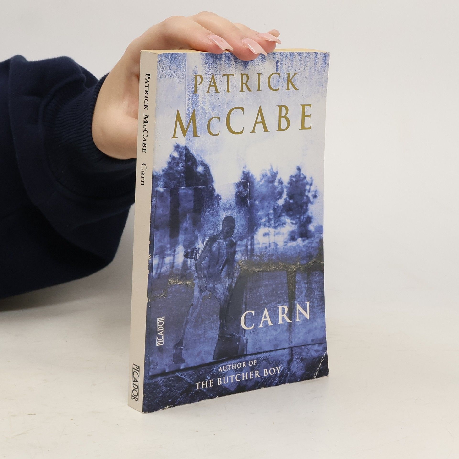 Patrick McCabe Carn