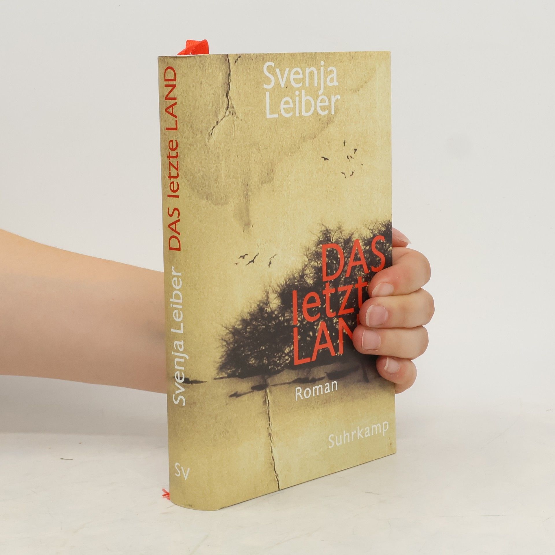 Svenja Leiber Das letzte Land
