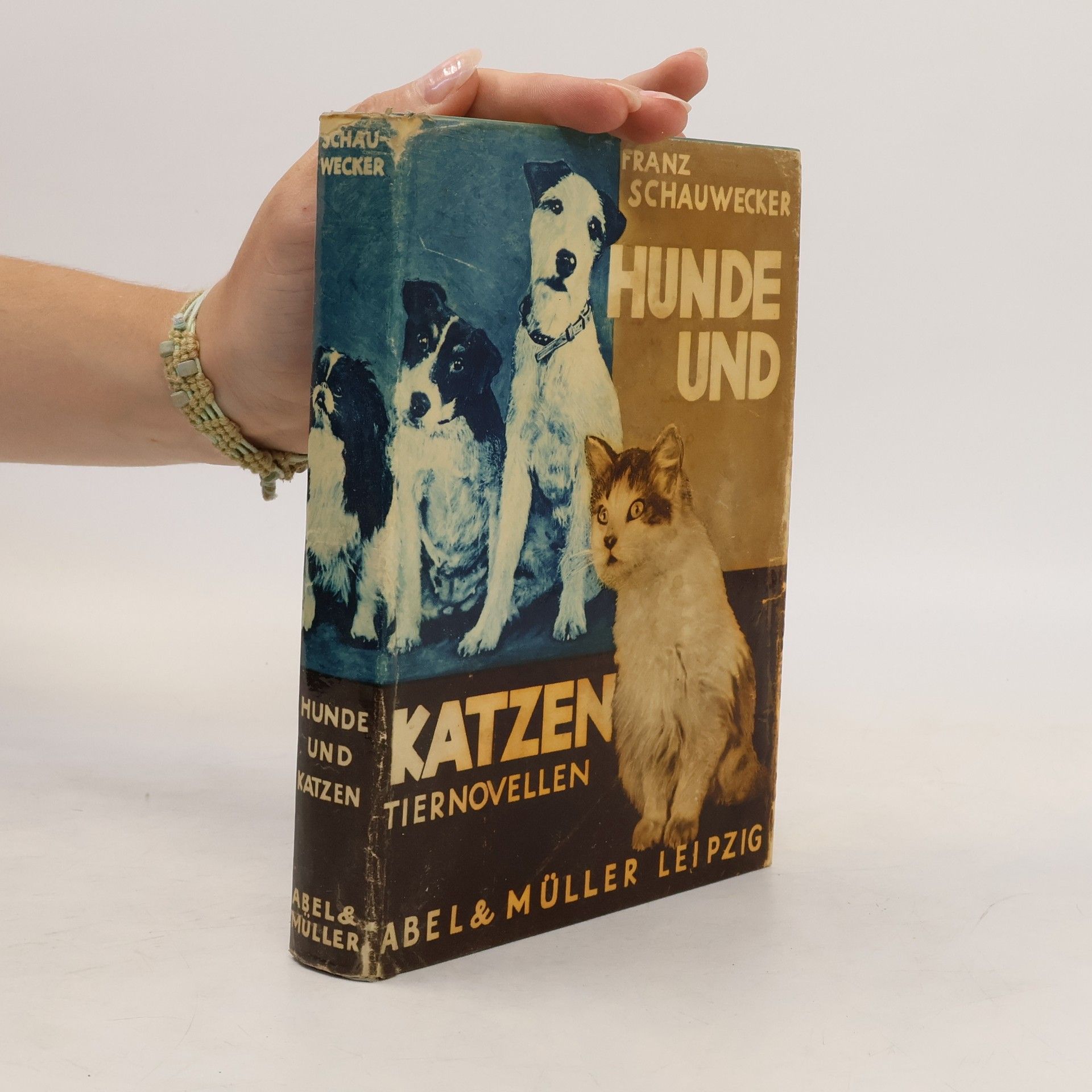 Franz Schauwecker Hunde und Katzen