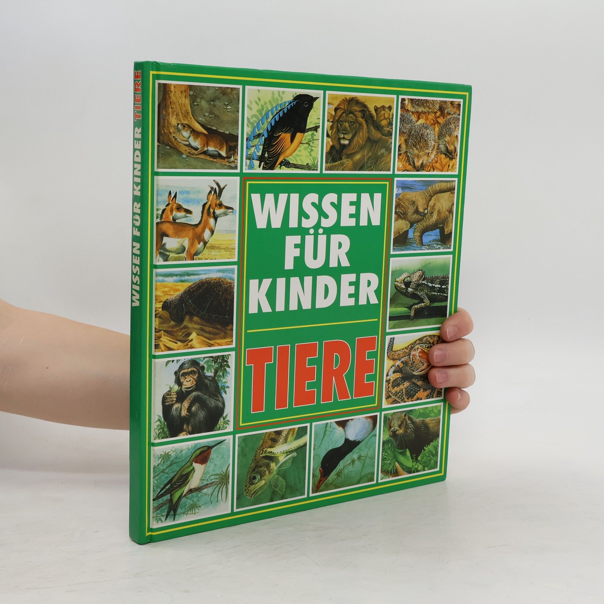 Tiere. Wissen für Kinder