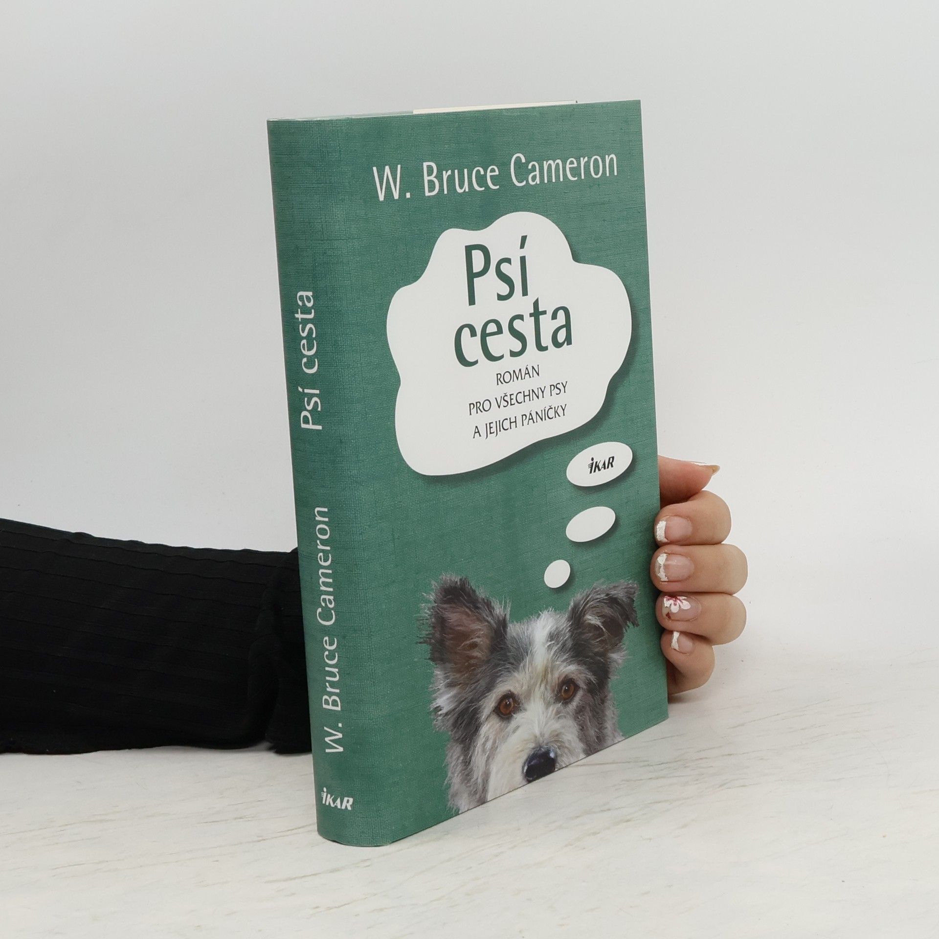 W. Bruce Cameron Psí cesta