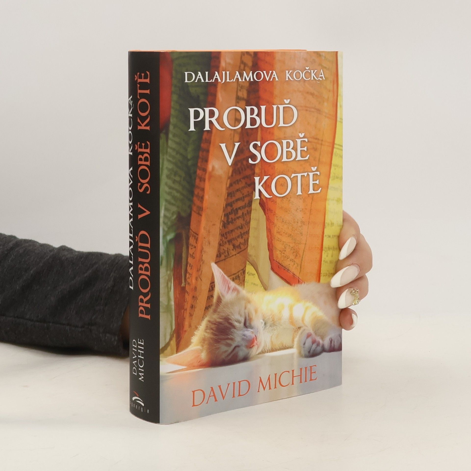 David Michie Dalajlamova kočka - probuď v sobě kotě