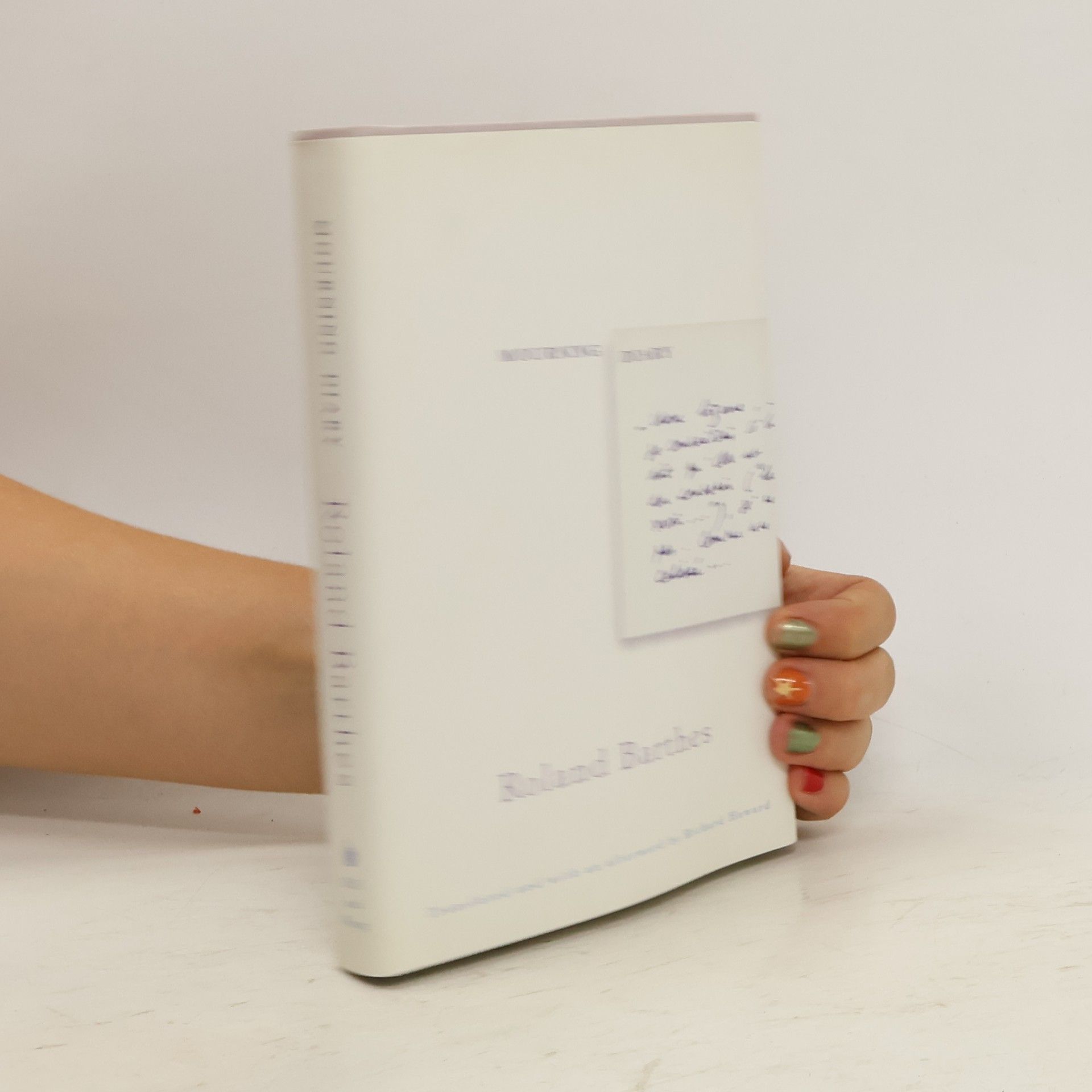 Roland Barthes Mourning Diary