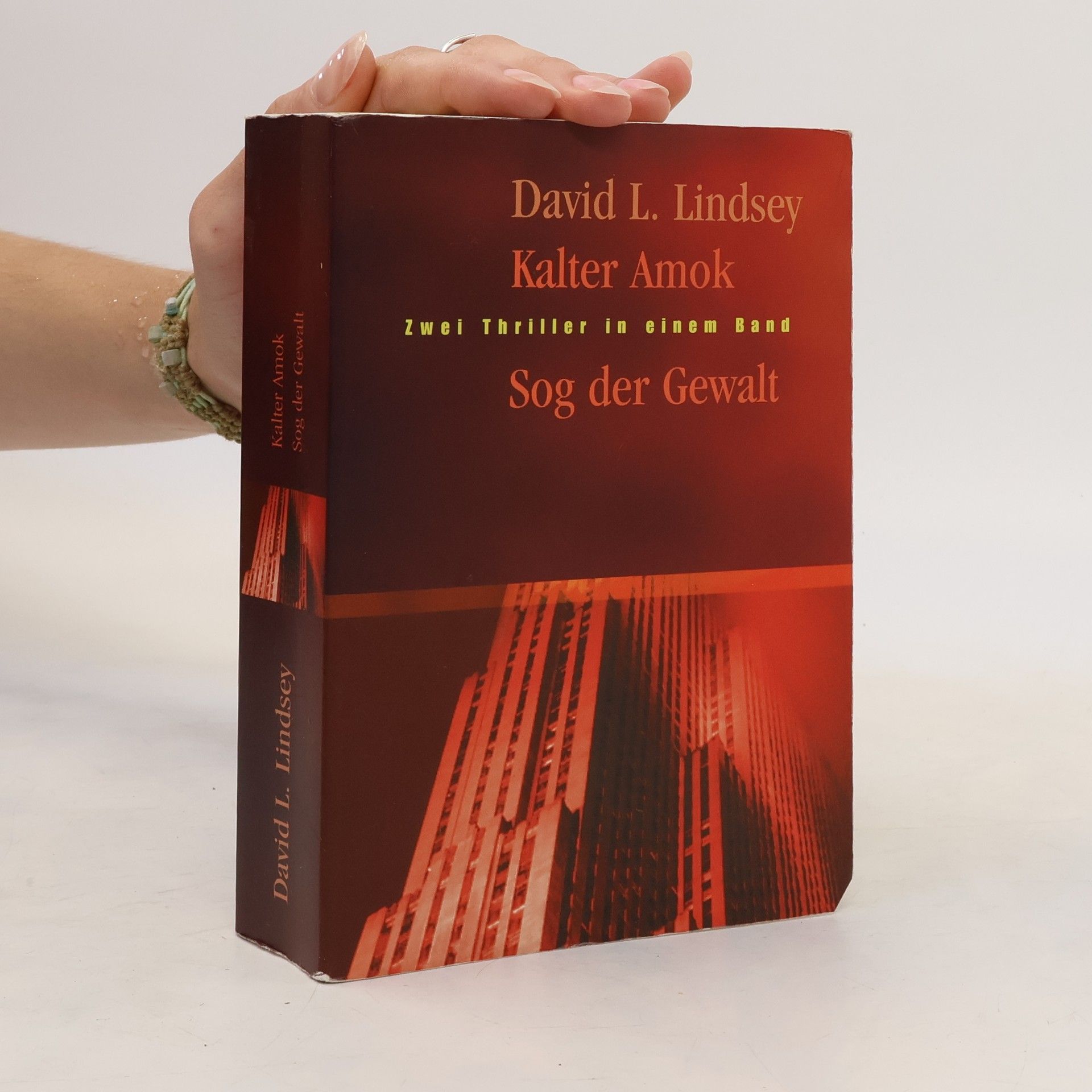 David Lindsey Sog der Gewalt