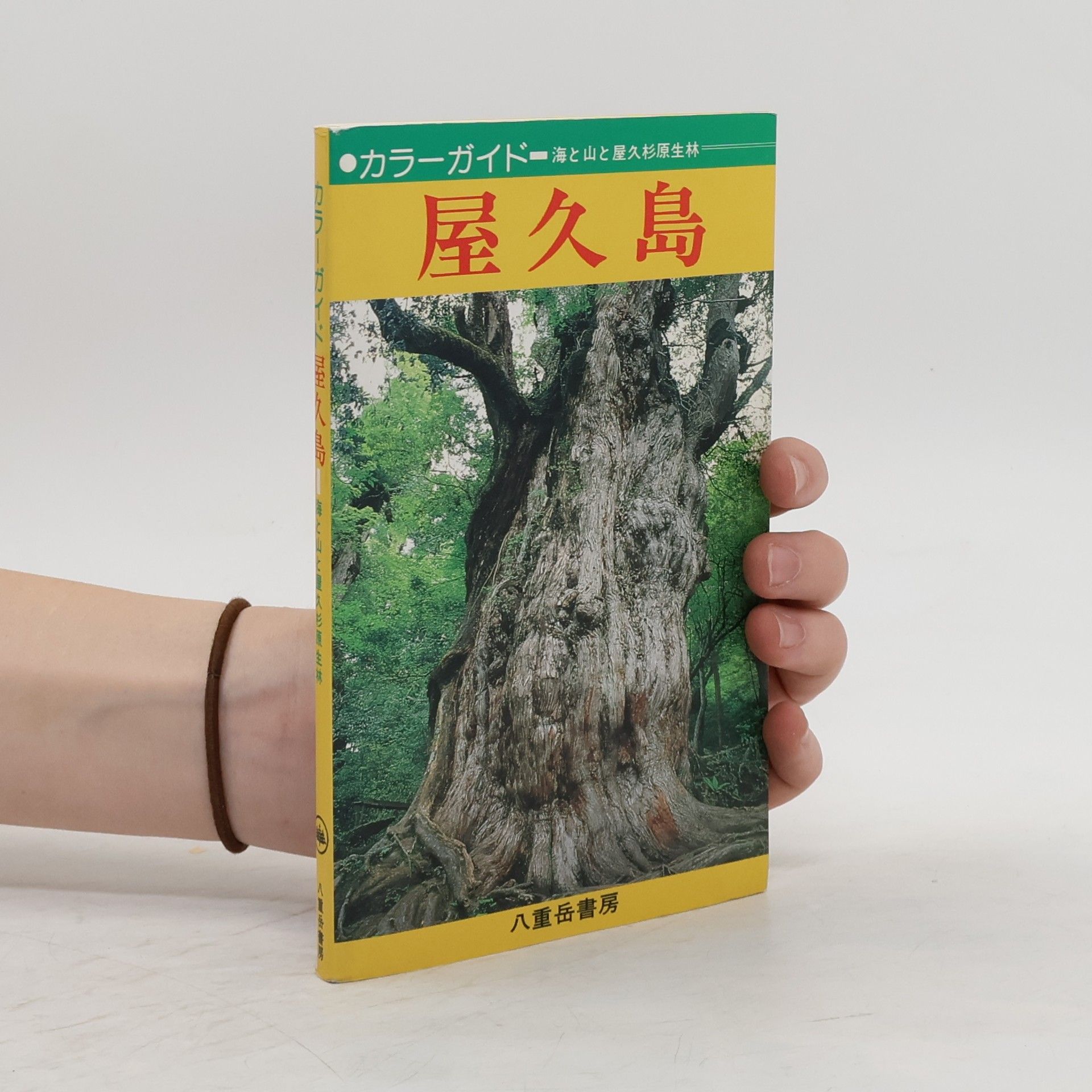 八重岳書房 屋久島