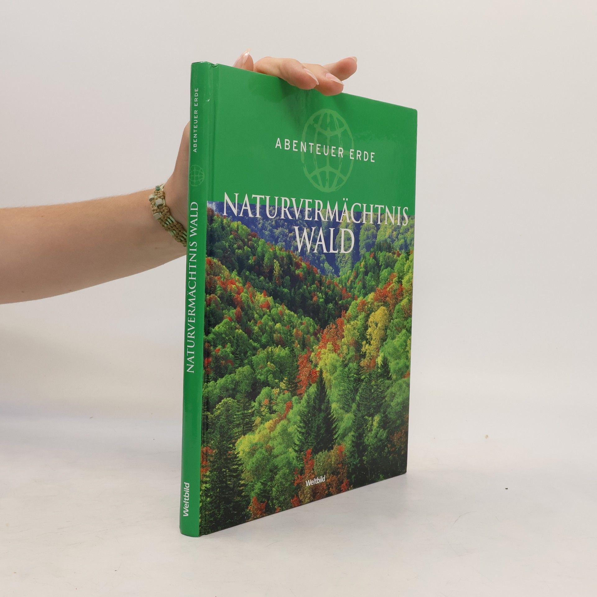 Annegret Diener-Steinherr Naturvermächtnis Wald