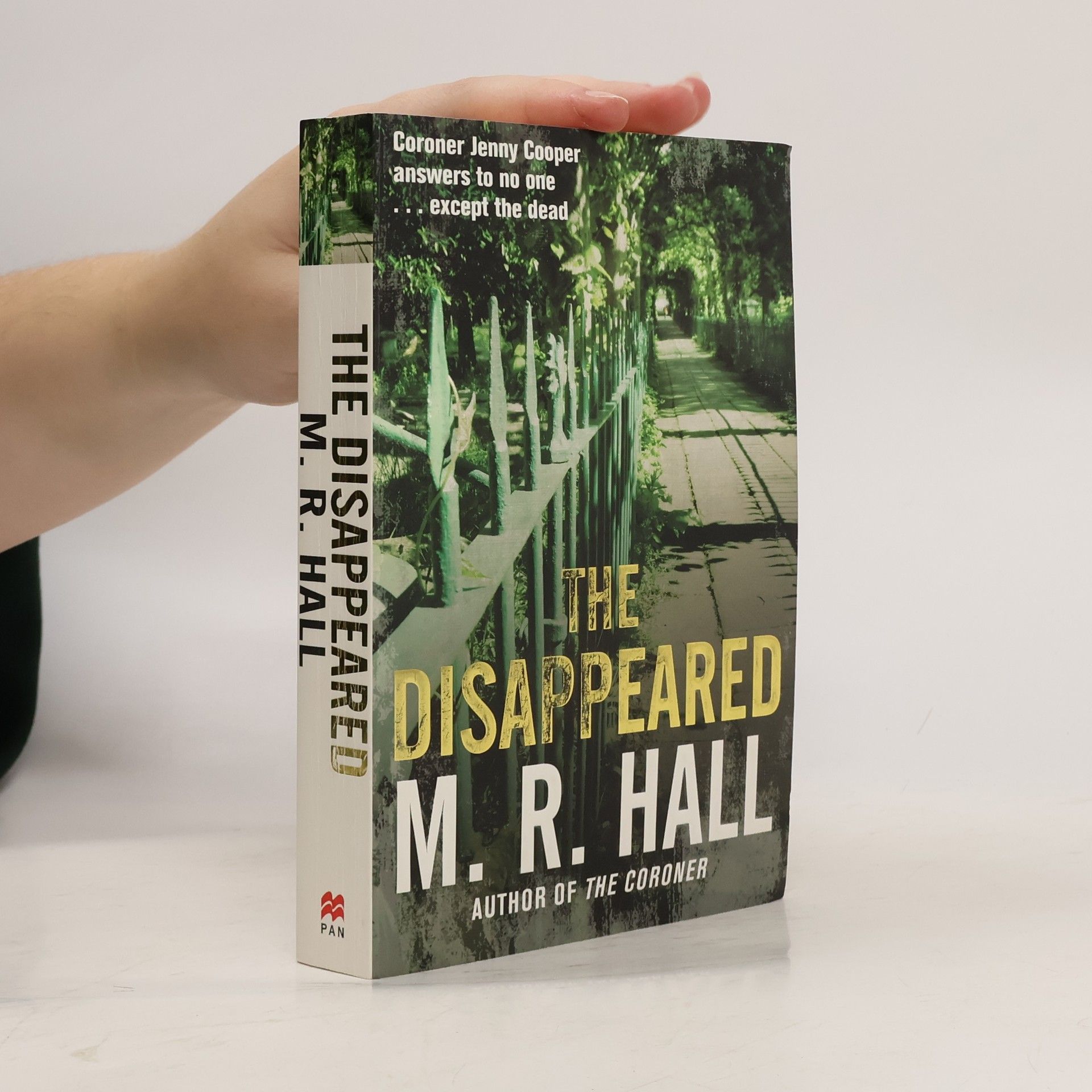 Mari Hall The Disappeared