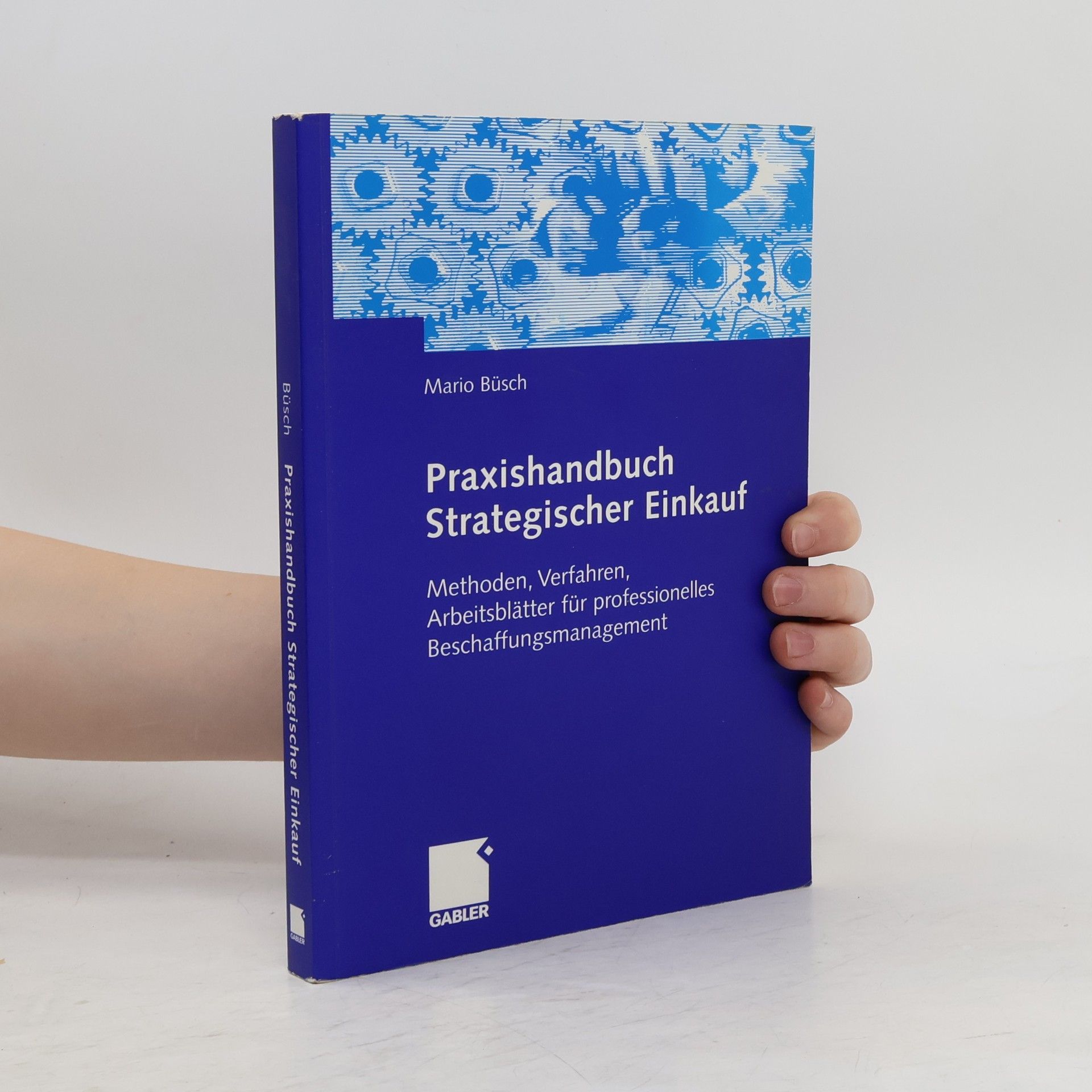 Mario Büsch Praxishandbuch strategischer Einkauf