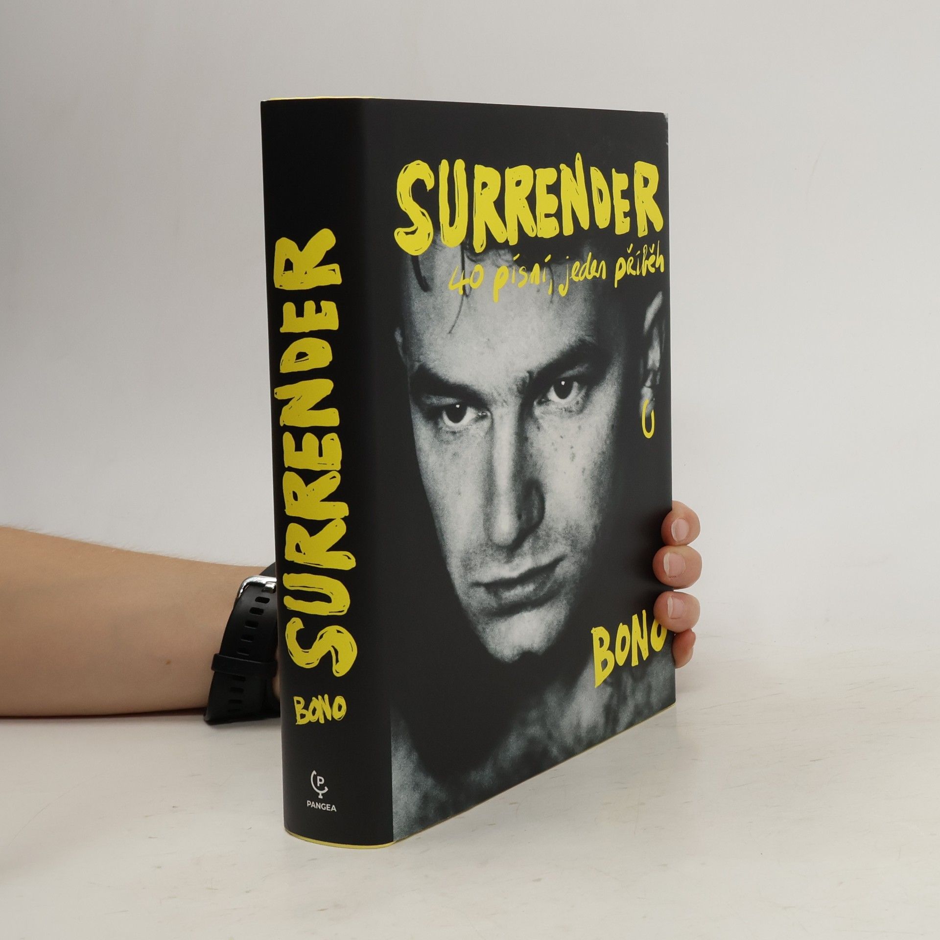 Bono Surrender : 40 písní, jeden příběh