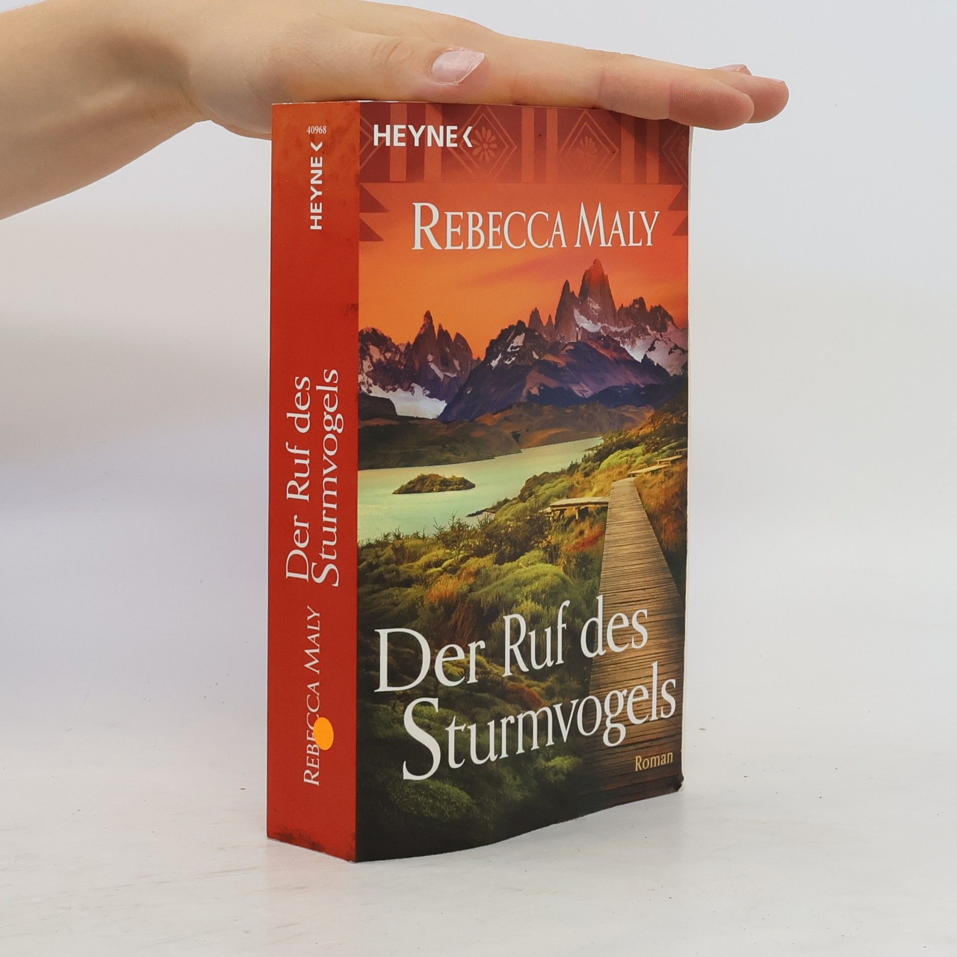 Rebekka Pax Der Ruf des Sturmvogels