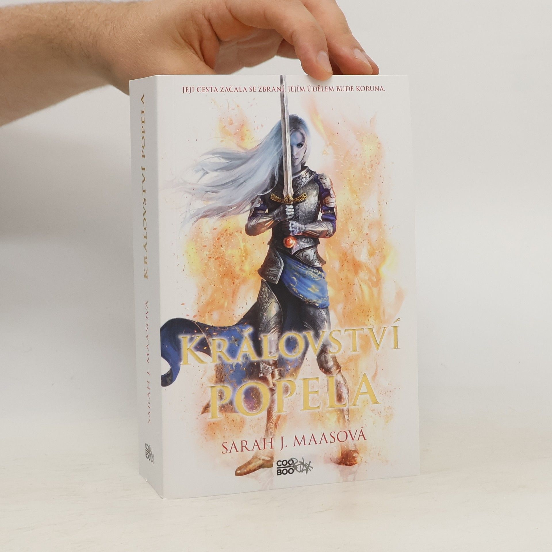 Sarah J. Maas Království popela