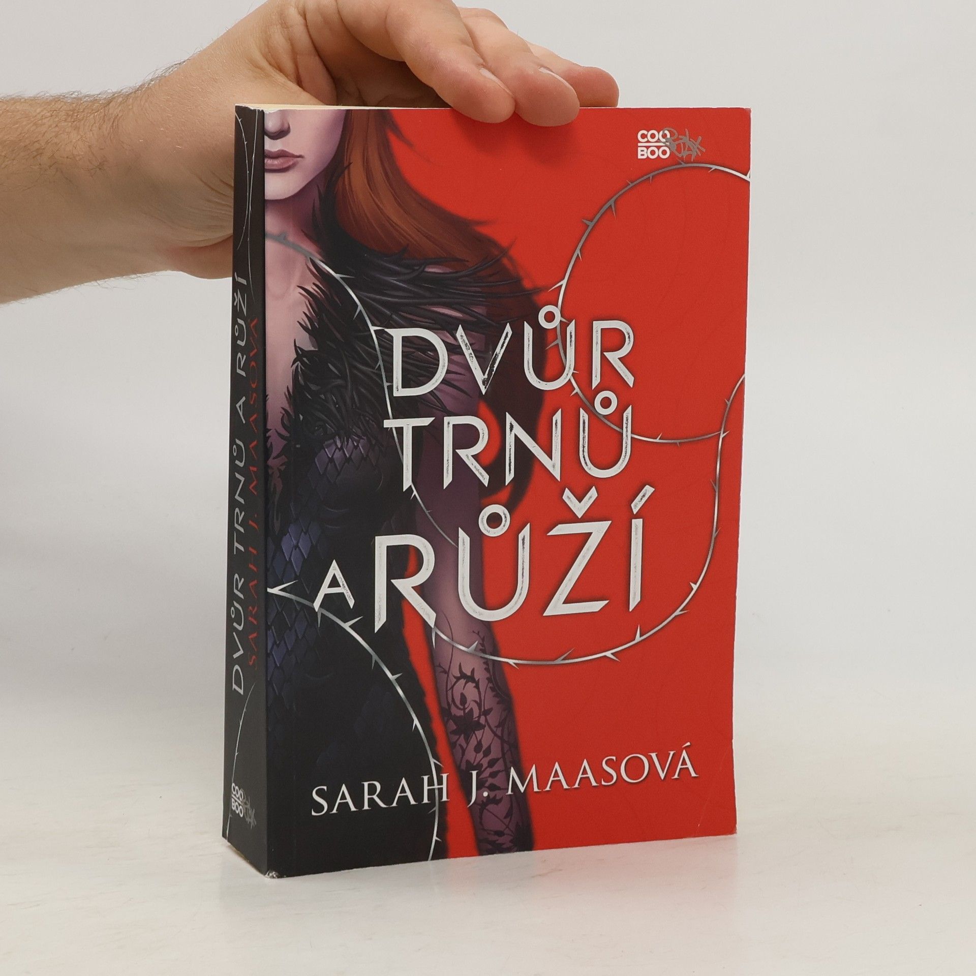 Sarah J. Maas Dvůr trnů a růží